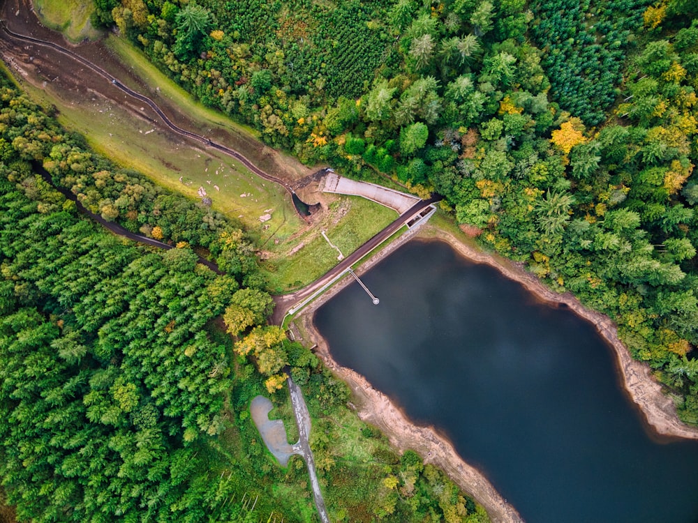 Luftaufnahme von grünen Bäumen in der Nähe des Flusses während des Tages