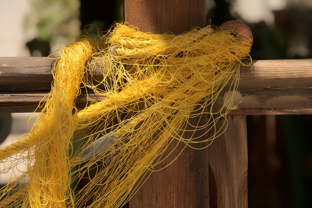 yellow and blue rope on brown wooden fence