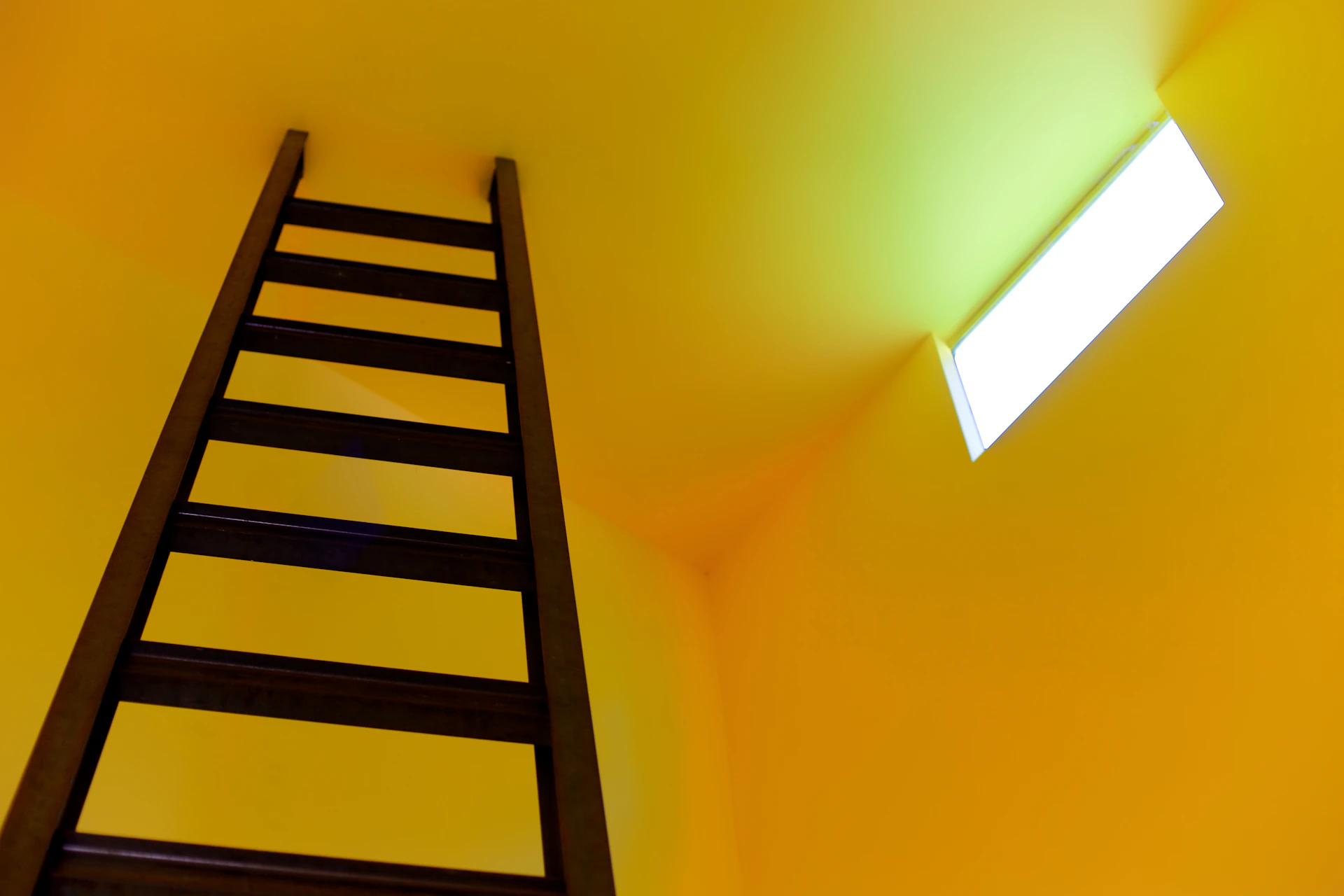 black wooden staircase on yellow painted wall