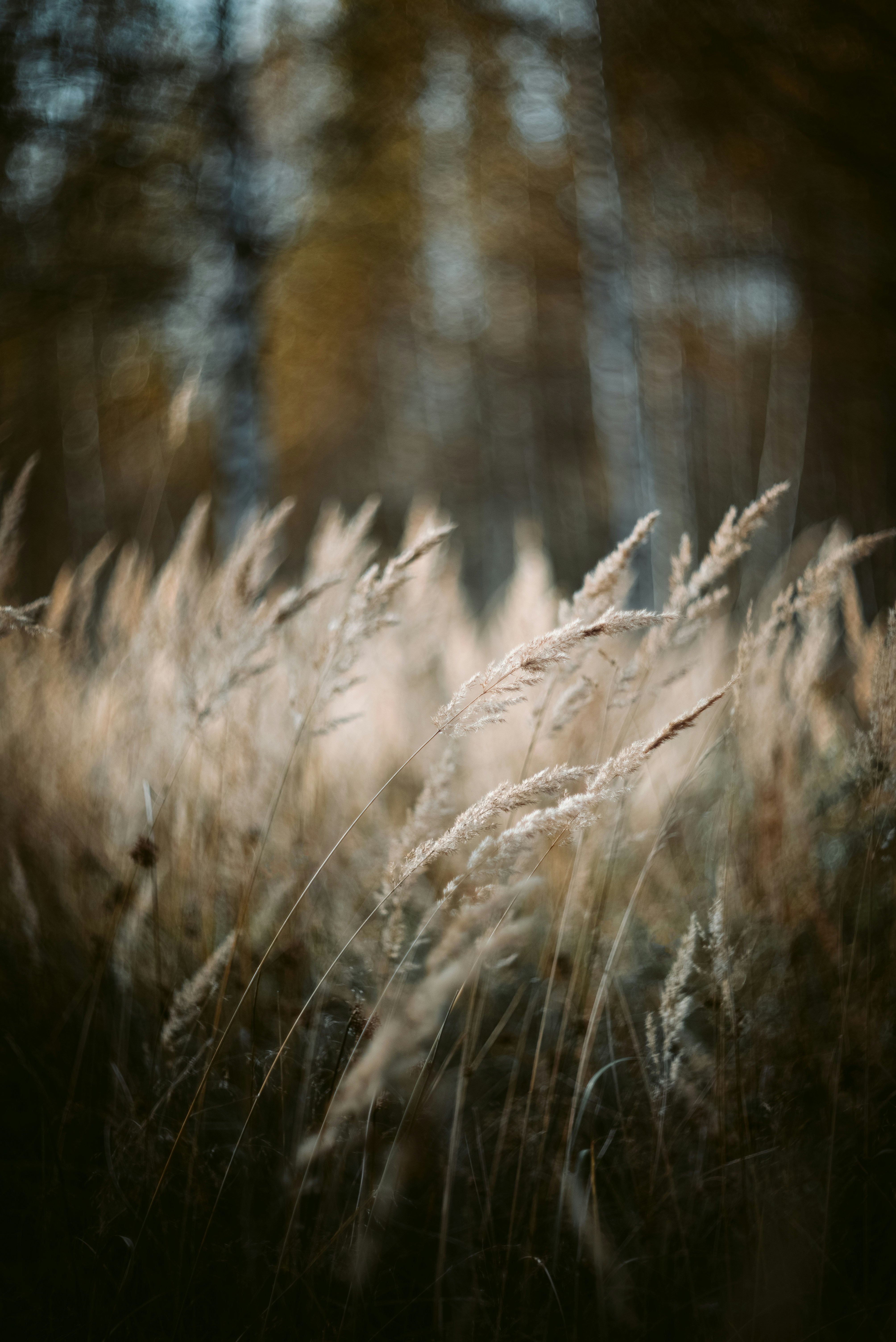 Photo by photonomikon