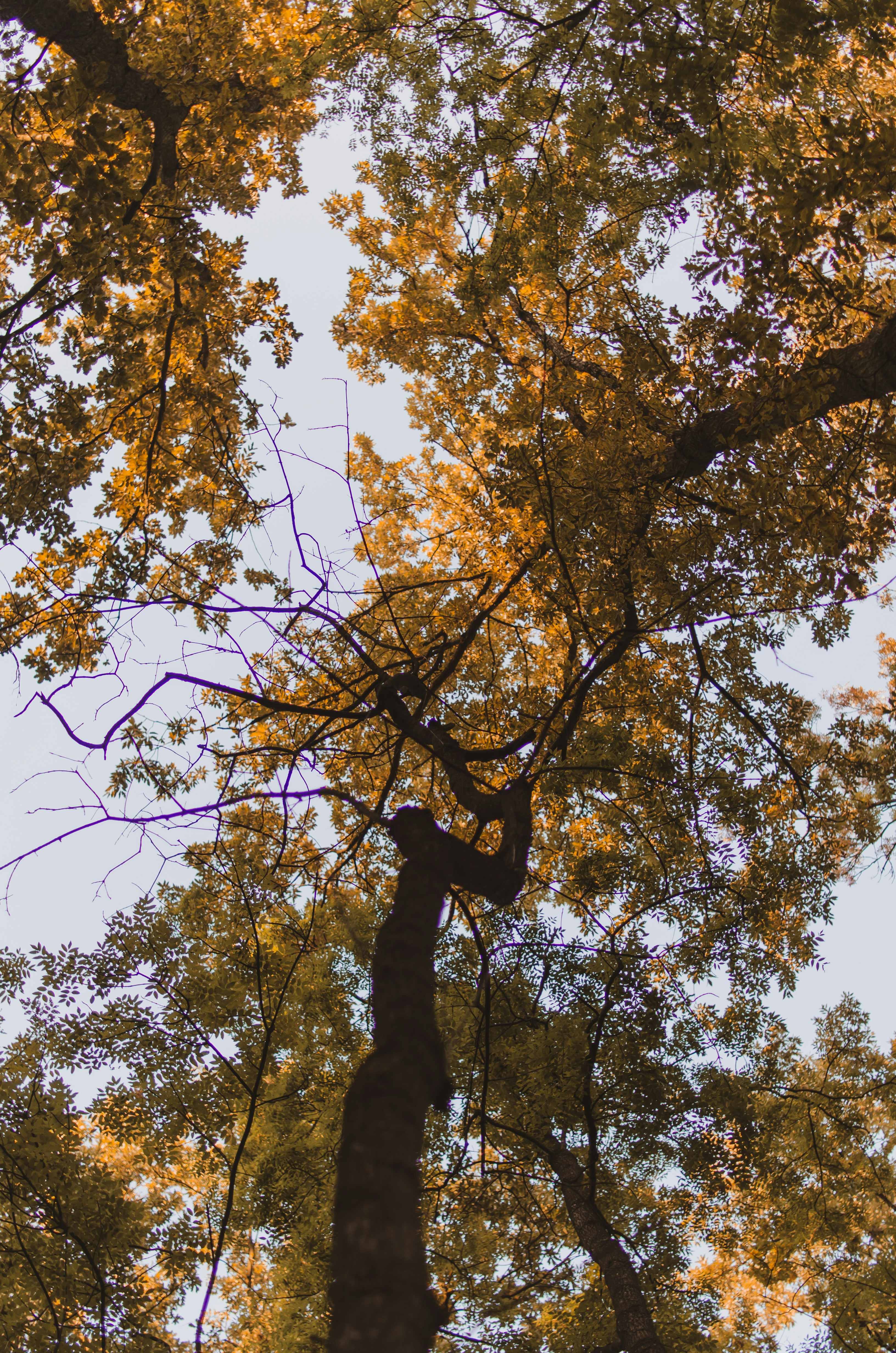 Photo by gamanalice3012