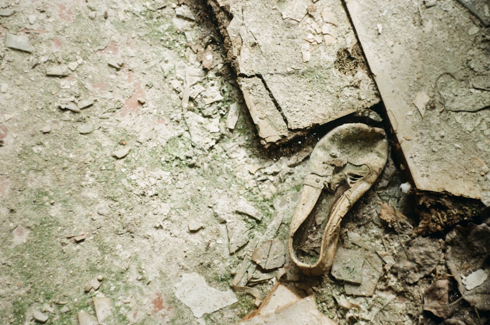 cabeza de animal de madera marrón sobre piso de concreto gris