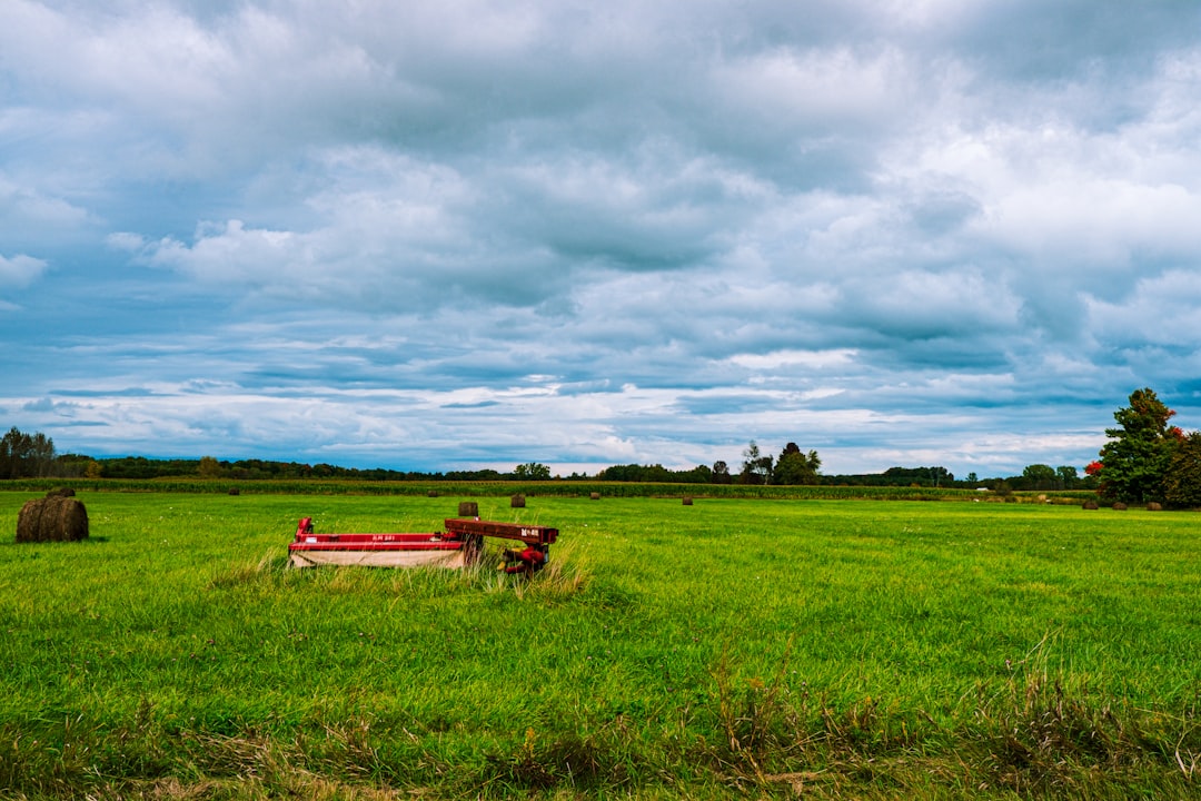 red and brown boat on green grass field under cloudy sky during daytime