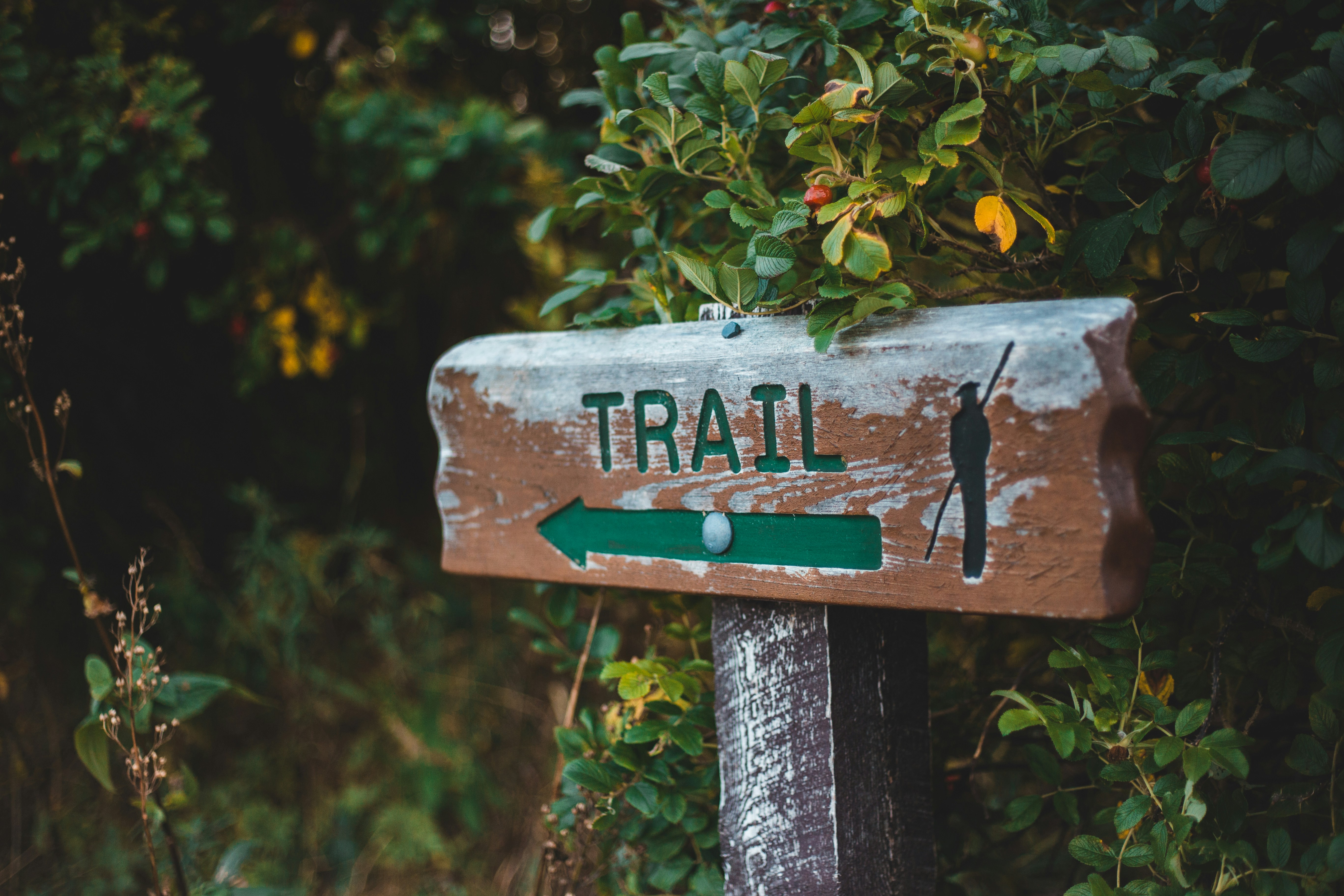 Photo by introspectivedsgn