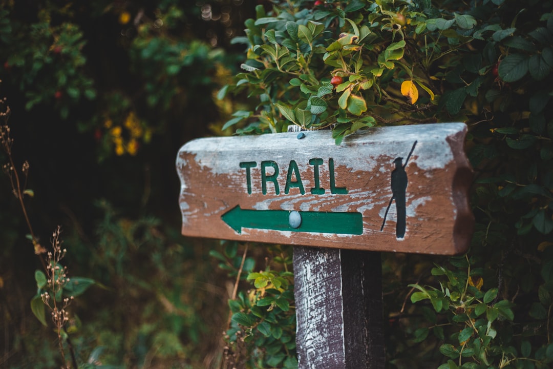 gray and white wooden signage