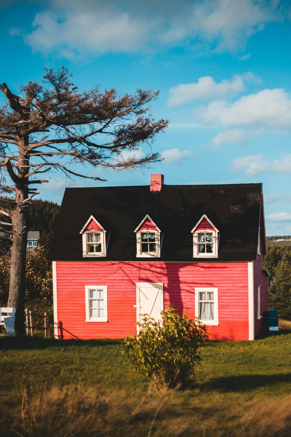 red and white house near trees under blue sky during daytime