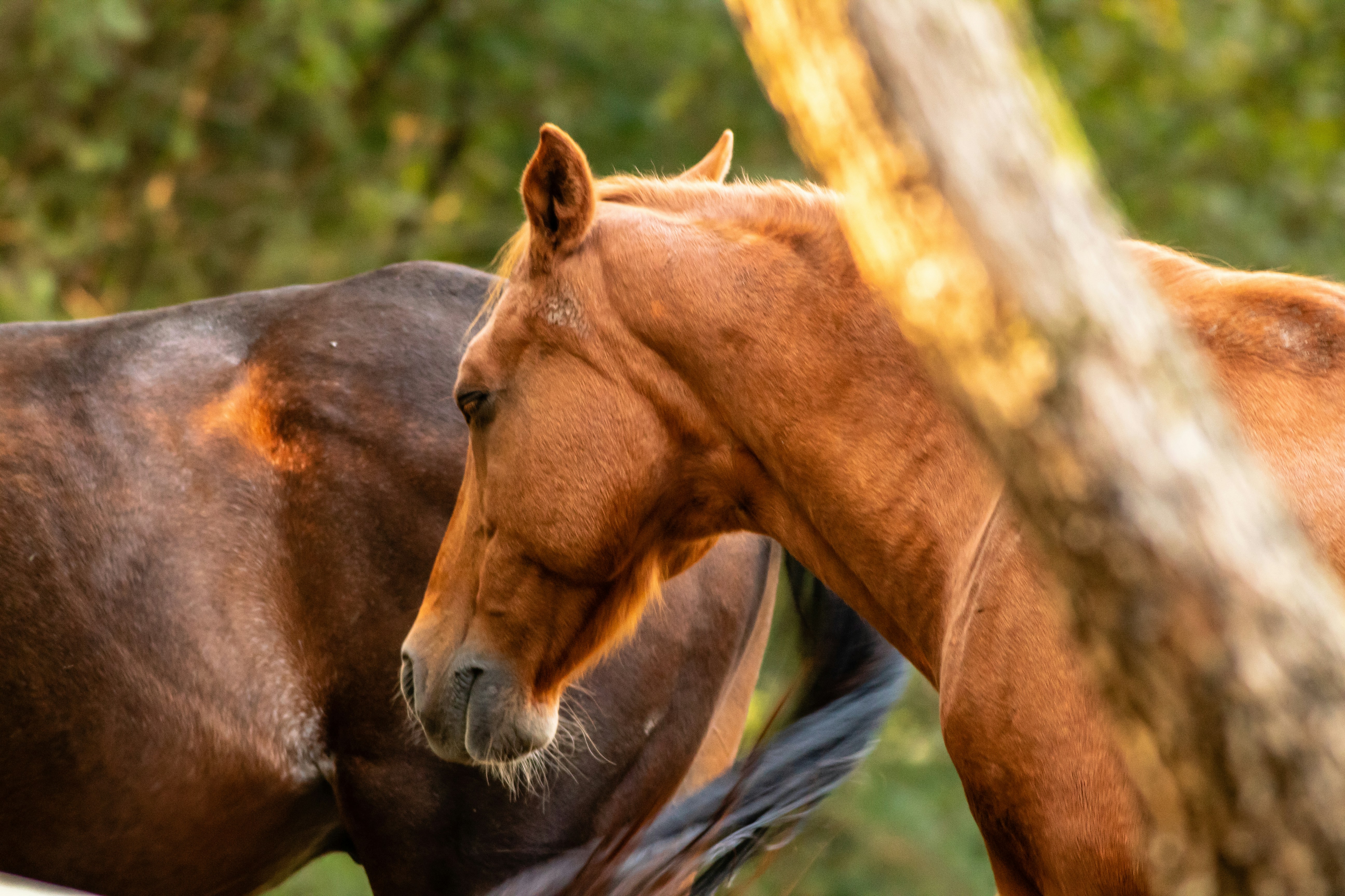 Photo by photoroutes