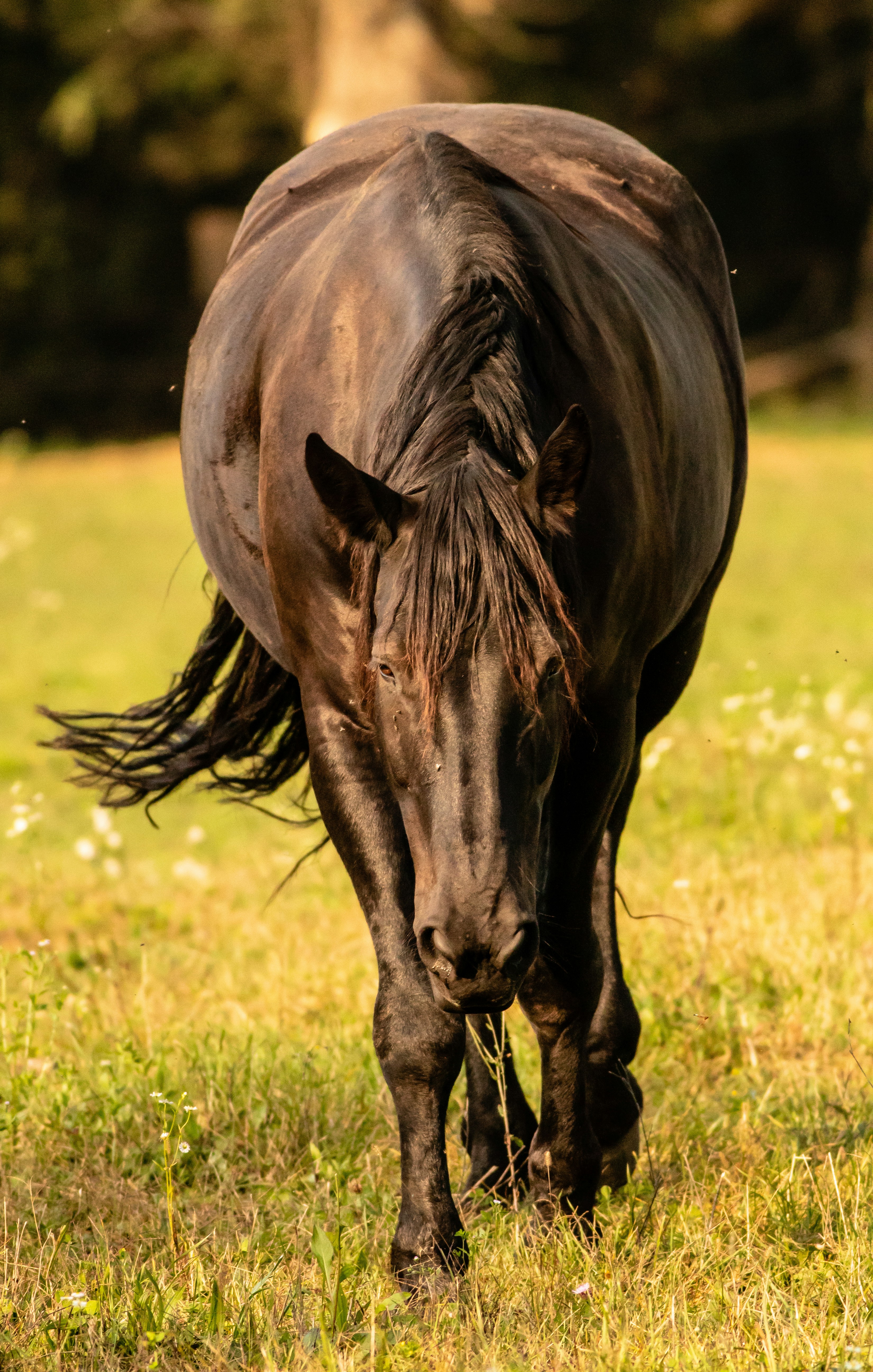 Photo by photoroutes