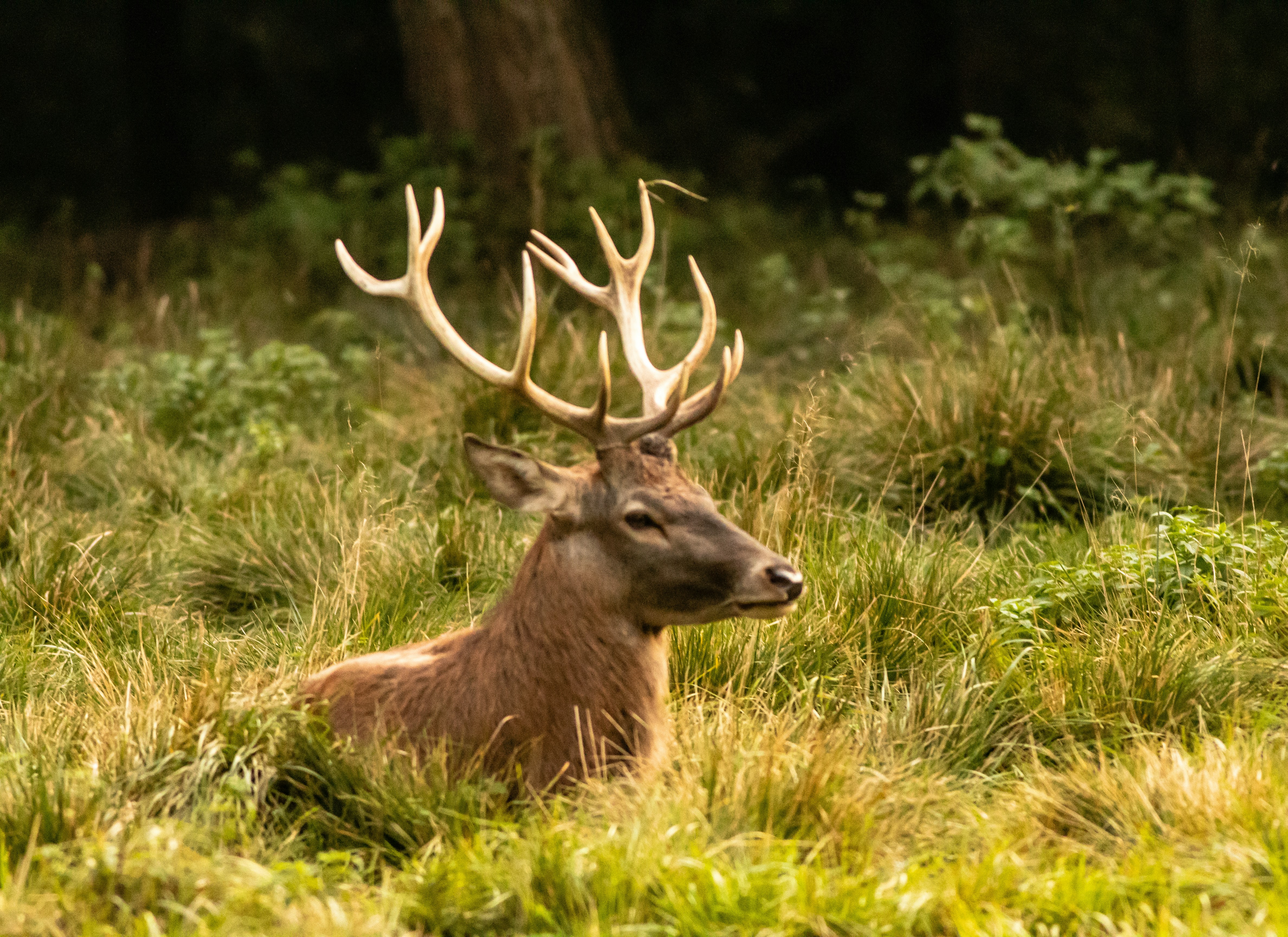 Photo by photoroutes