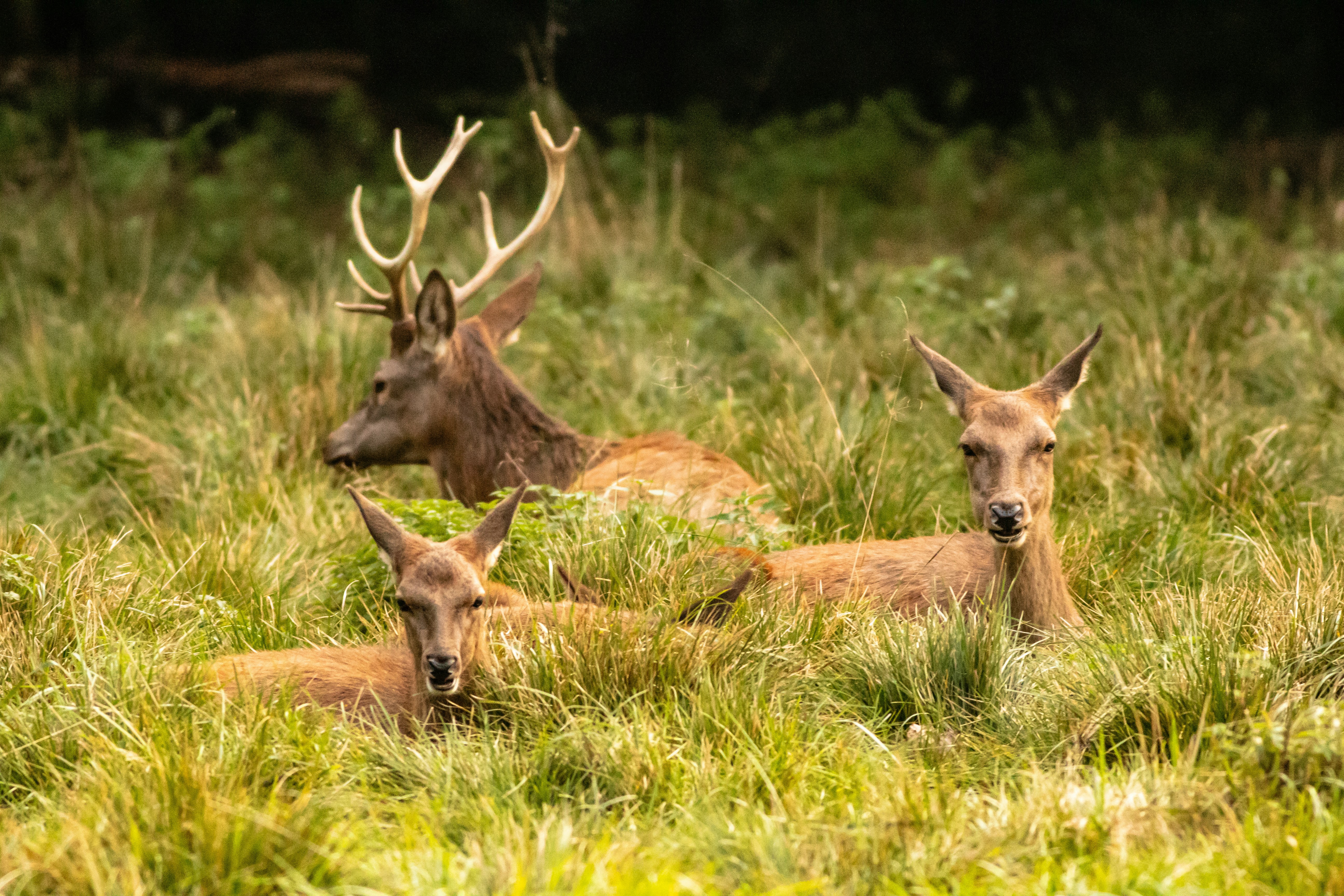 Photo by photoroutes