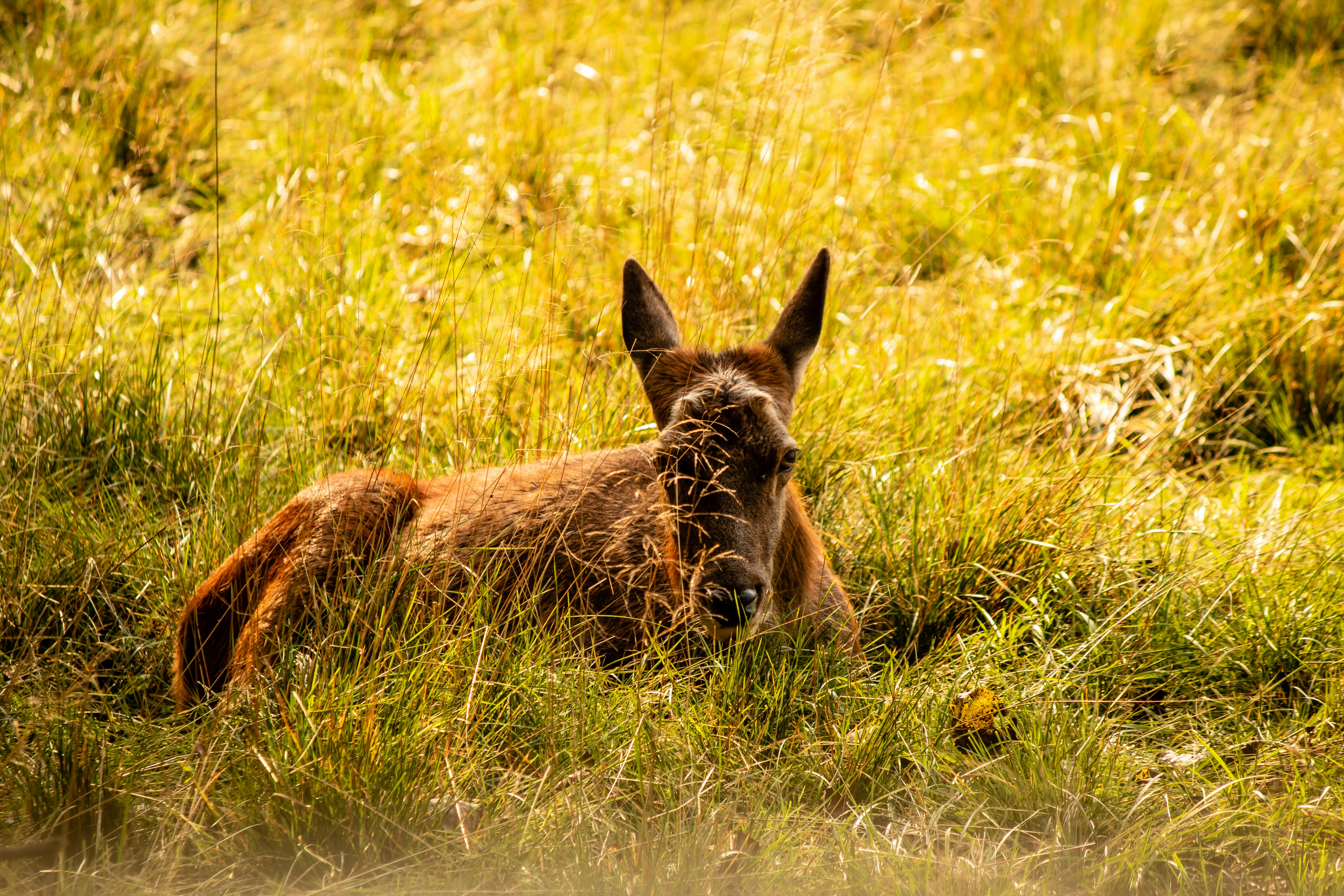 Photo by photoroutes