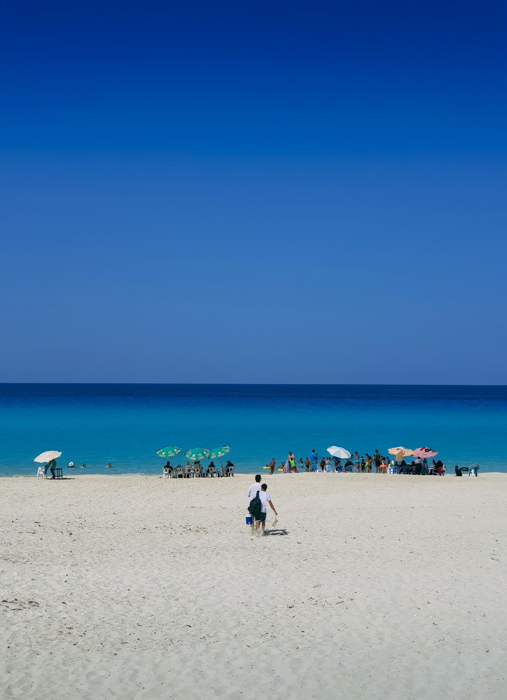 people on beach during daytime