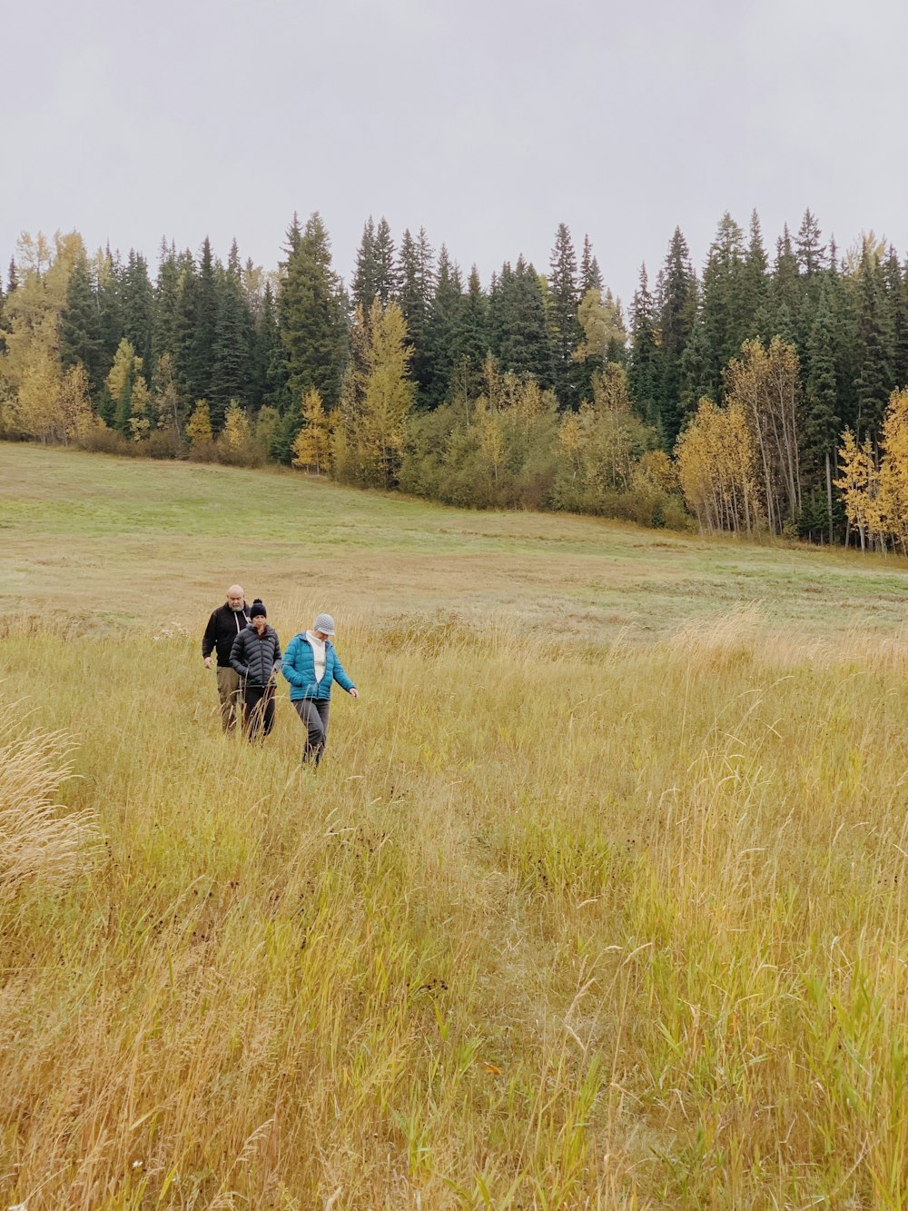 2 people walking on green grass field during daytime