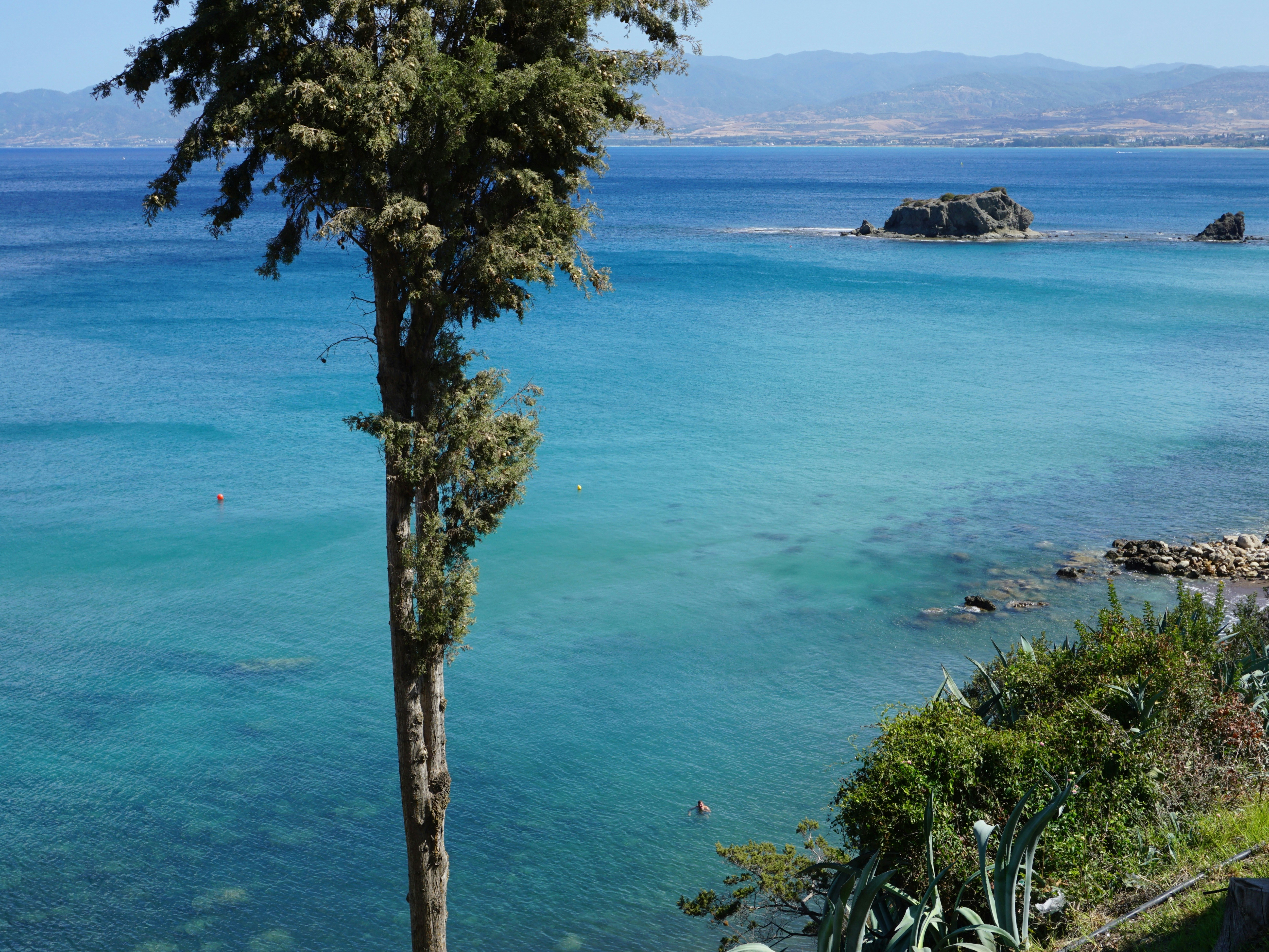 Photo by curiouscaptures