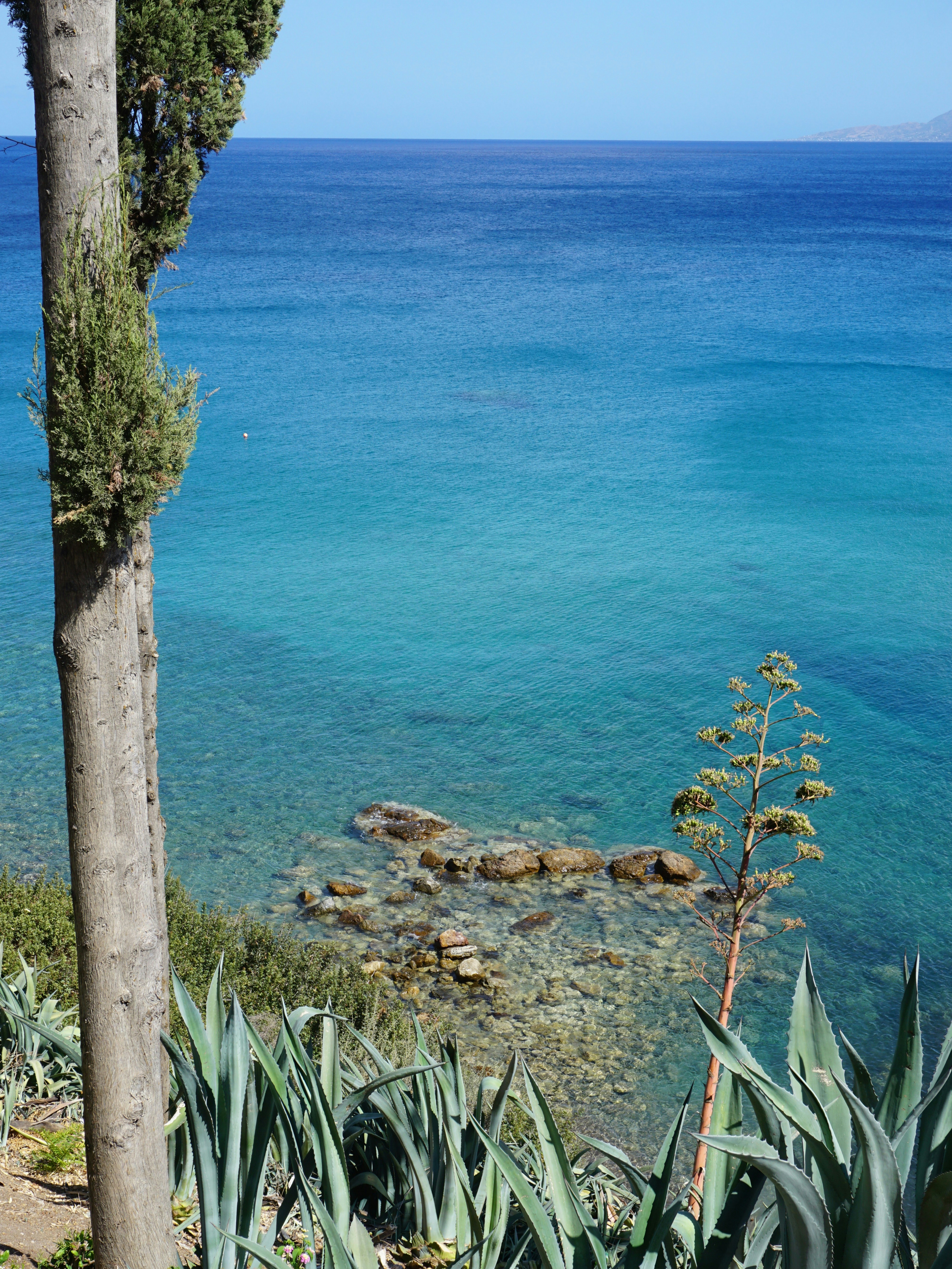 Photo by curiouscaptures