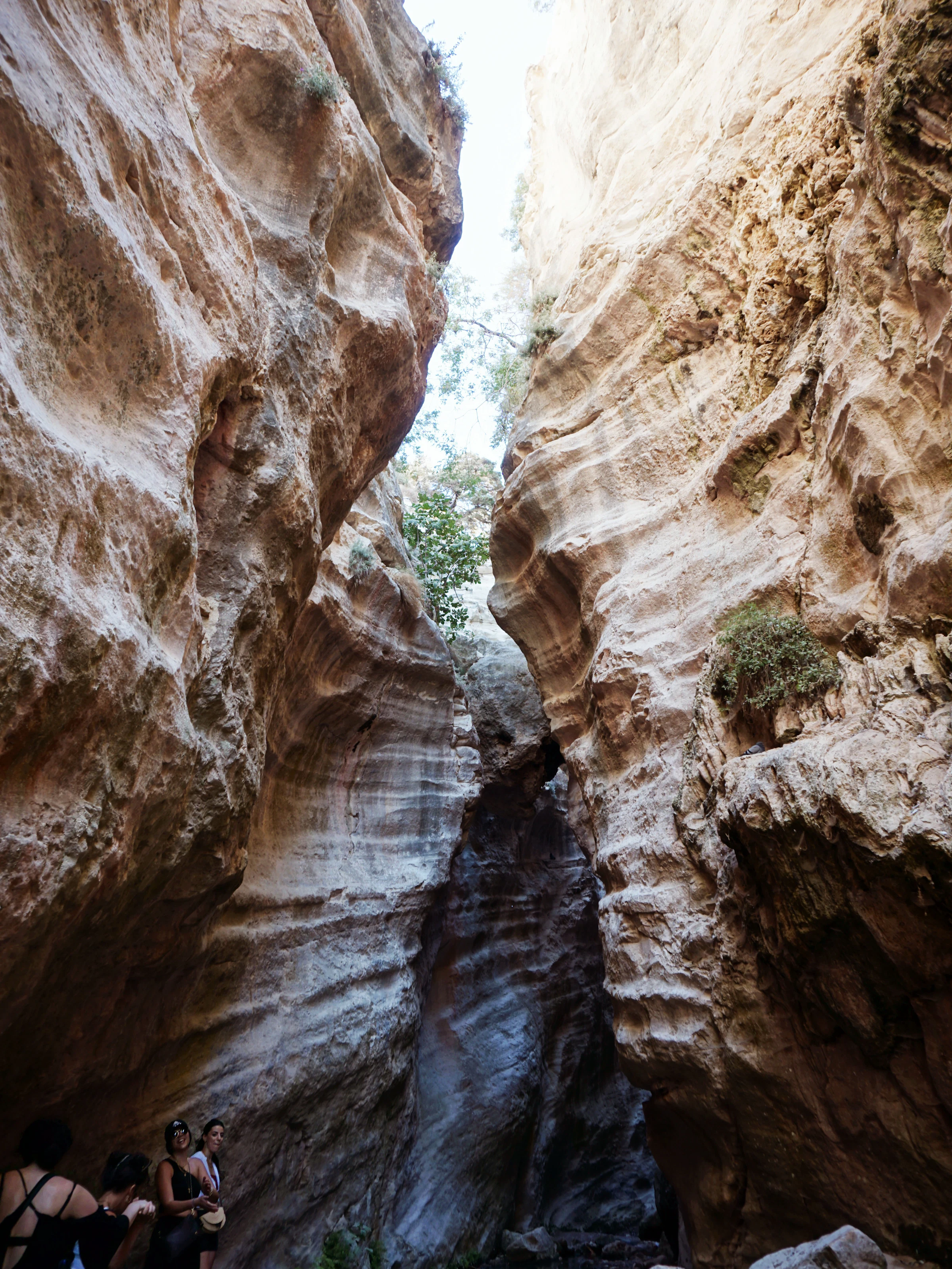 Walkers stand at the foot of a narrow limestone gorge, its pale striated walls rising steeply on both sides towards a thin strip of sky