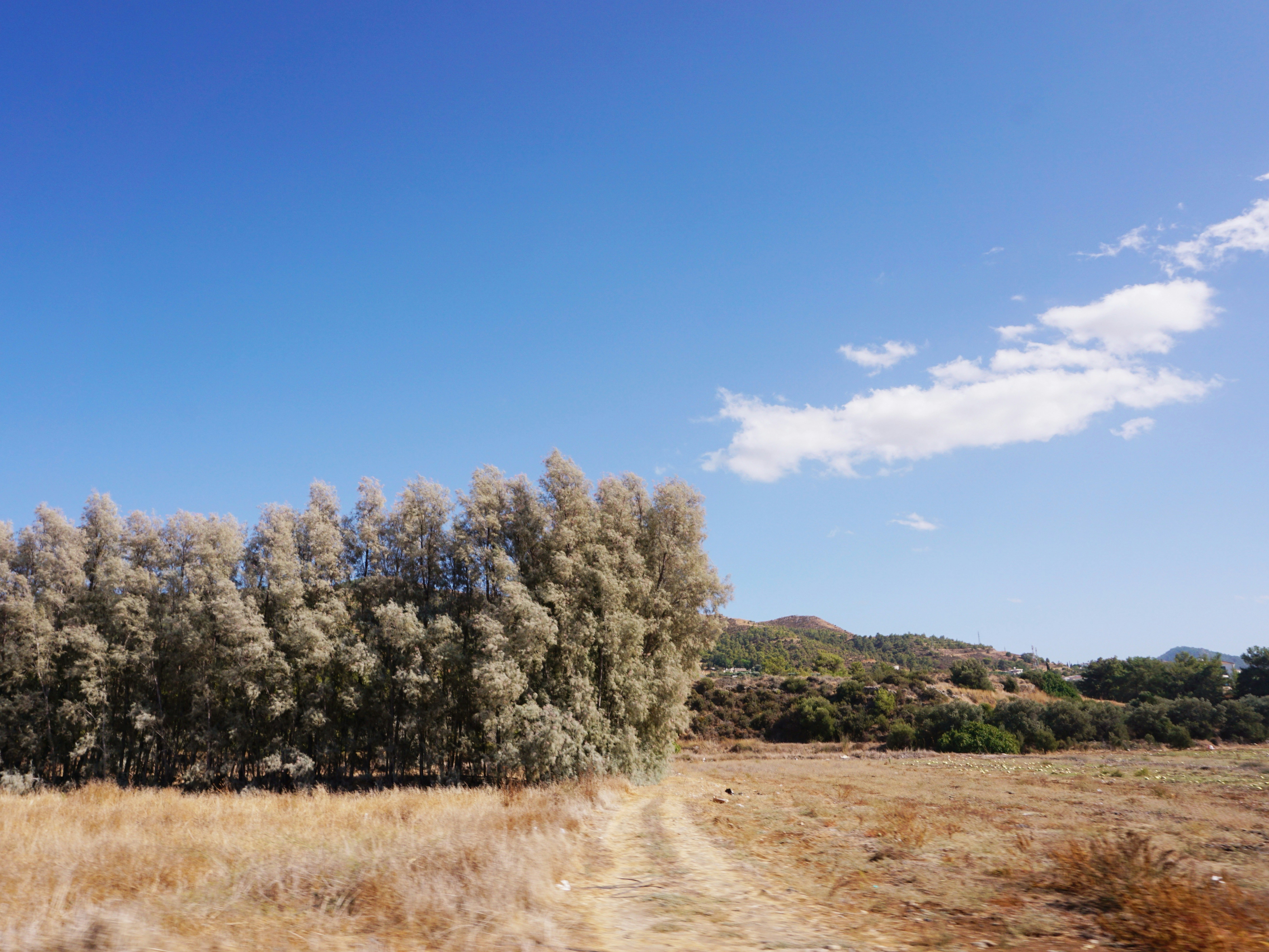 Photo by curiouscaptures