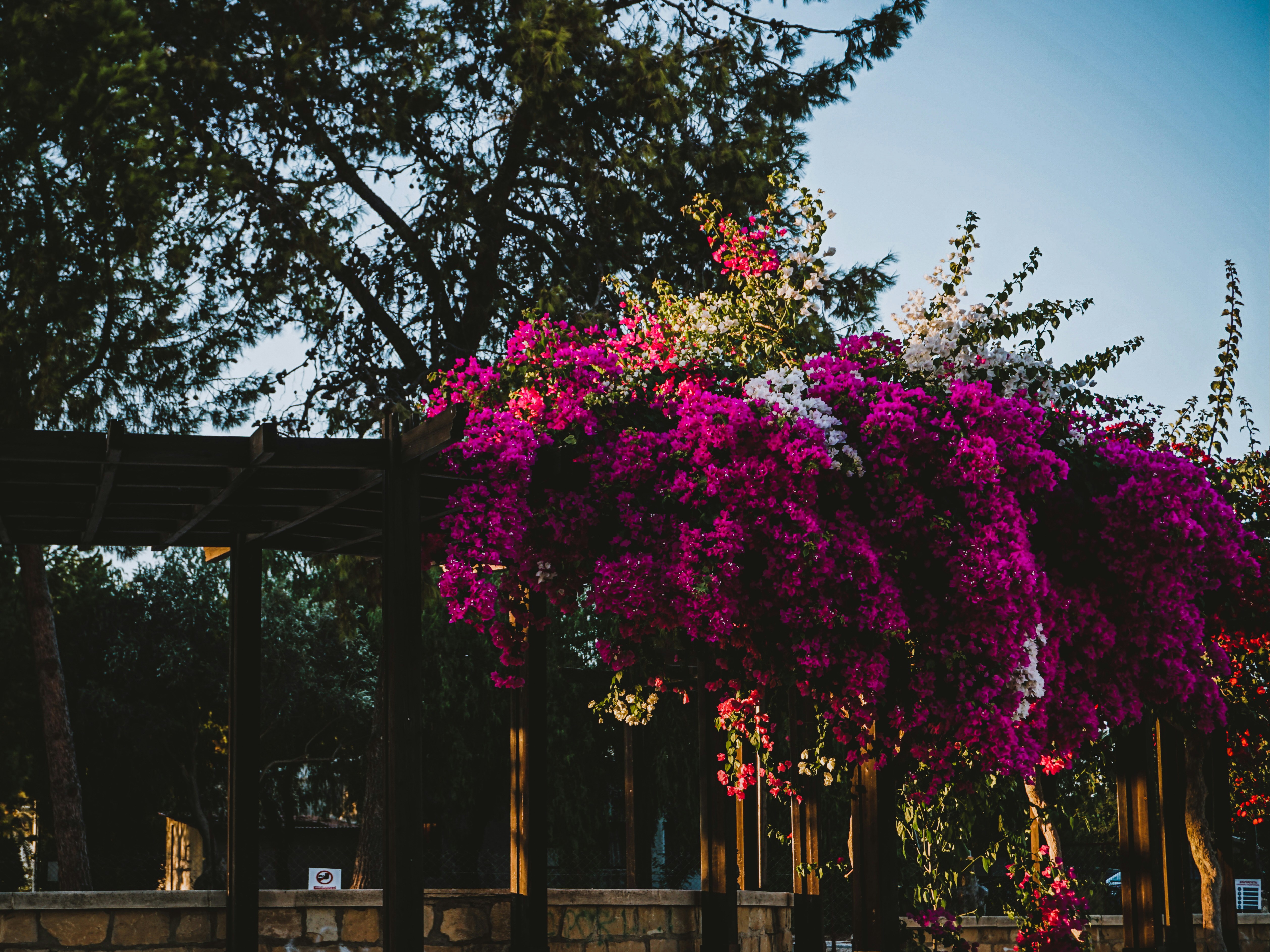 Photo by curiouscaptures