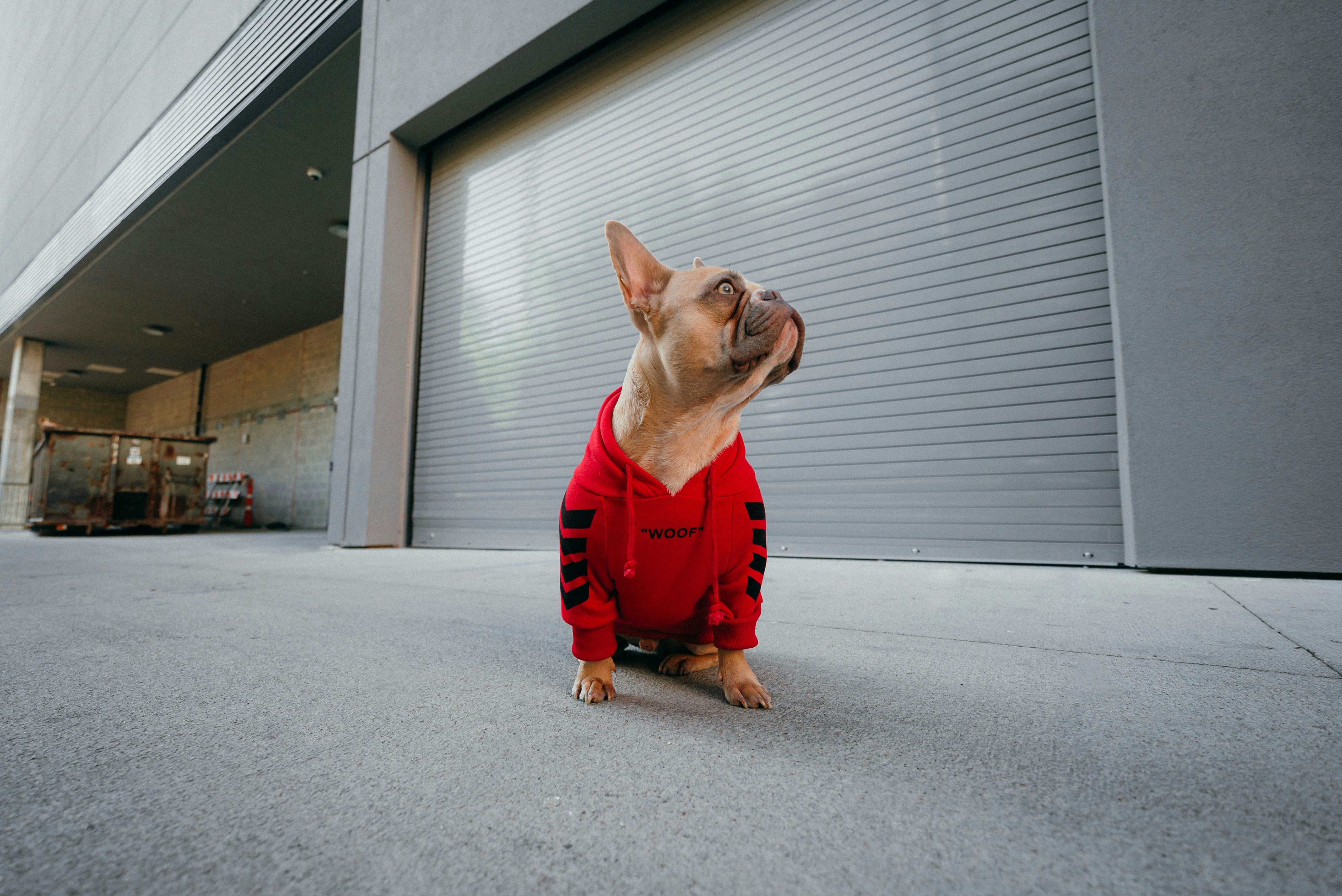 Sudaderas con Capucha