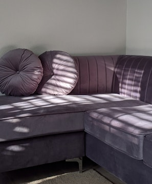A plush, dark gray sectional sofa is positioned in a corner against a light gray wall. The sofa features two rounded pillows with button-tufted centers. Sunlight filters through window blinds, casting striped shadows across the fabric of the sofa and pillows.