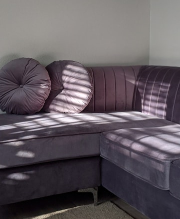 A plush, dark gray sectional sofa is positioned in a corner against a light gray wall. The sofa features two rounded pillows with button-tufted centers. Sunlight filters through window blinds, casting striped shadows across the fabric of the sofa and pillows.