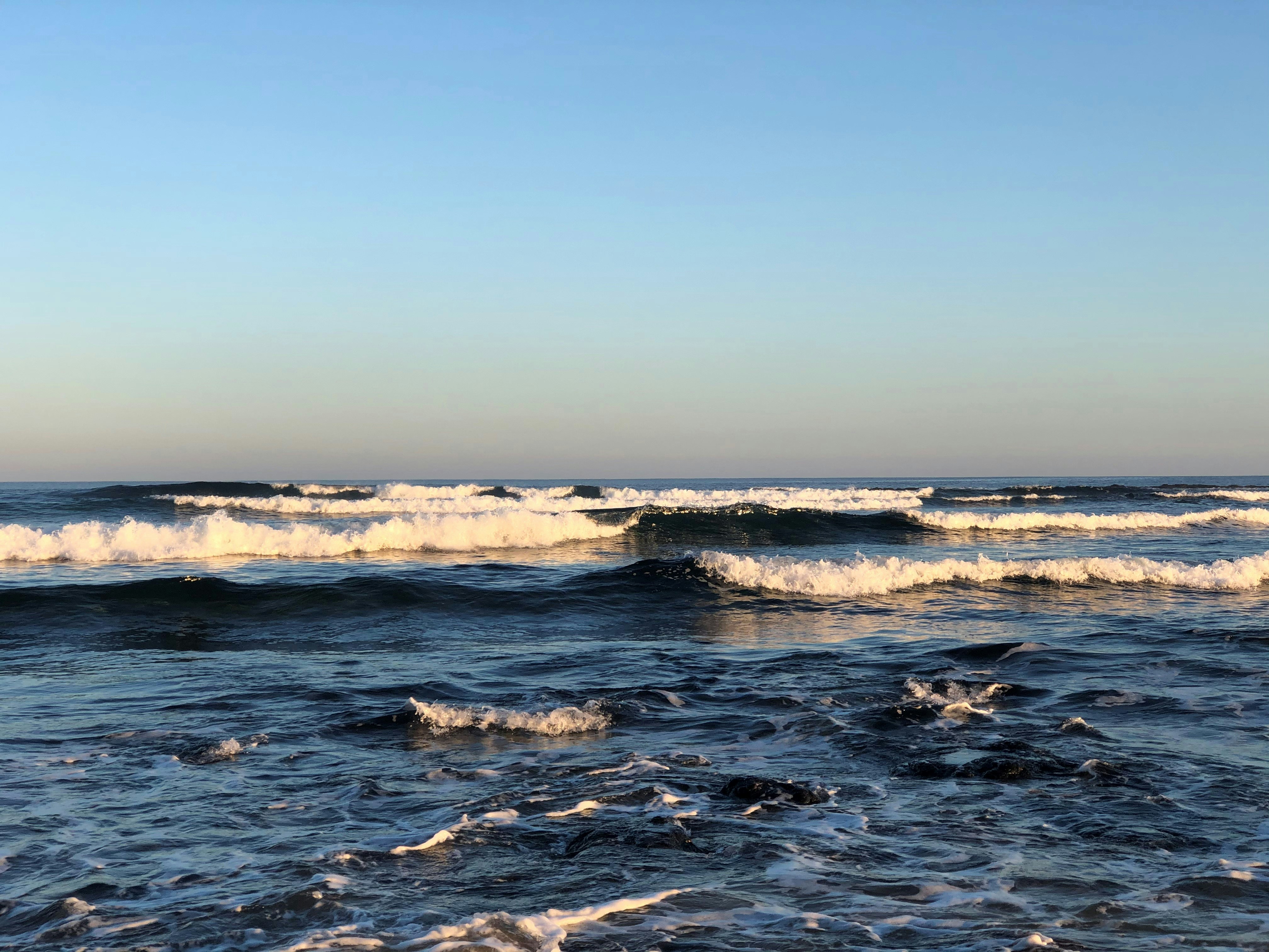 Photo by choona_fish