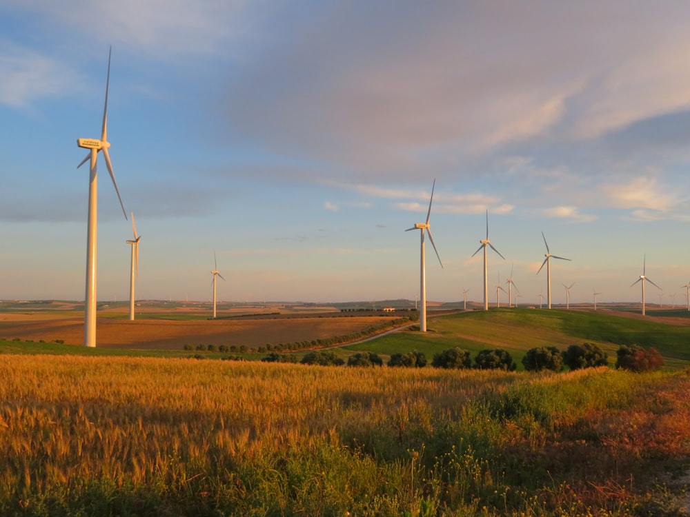 wind turbines on green grass field under blue sky during daytime