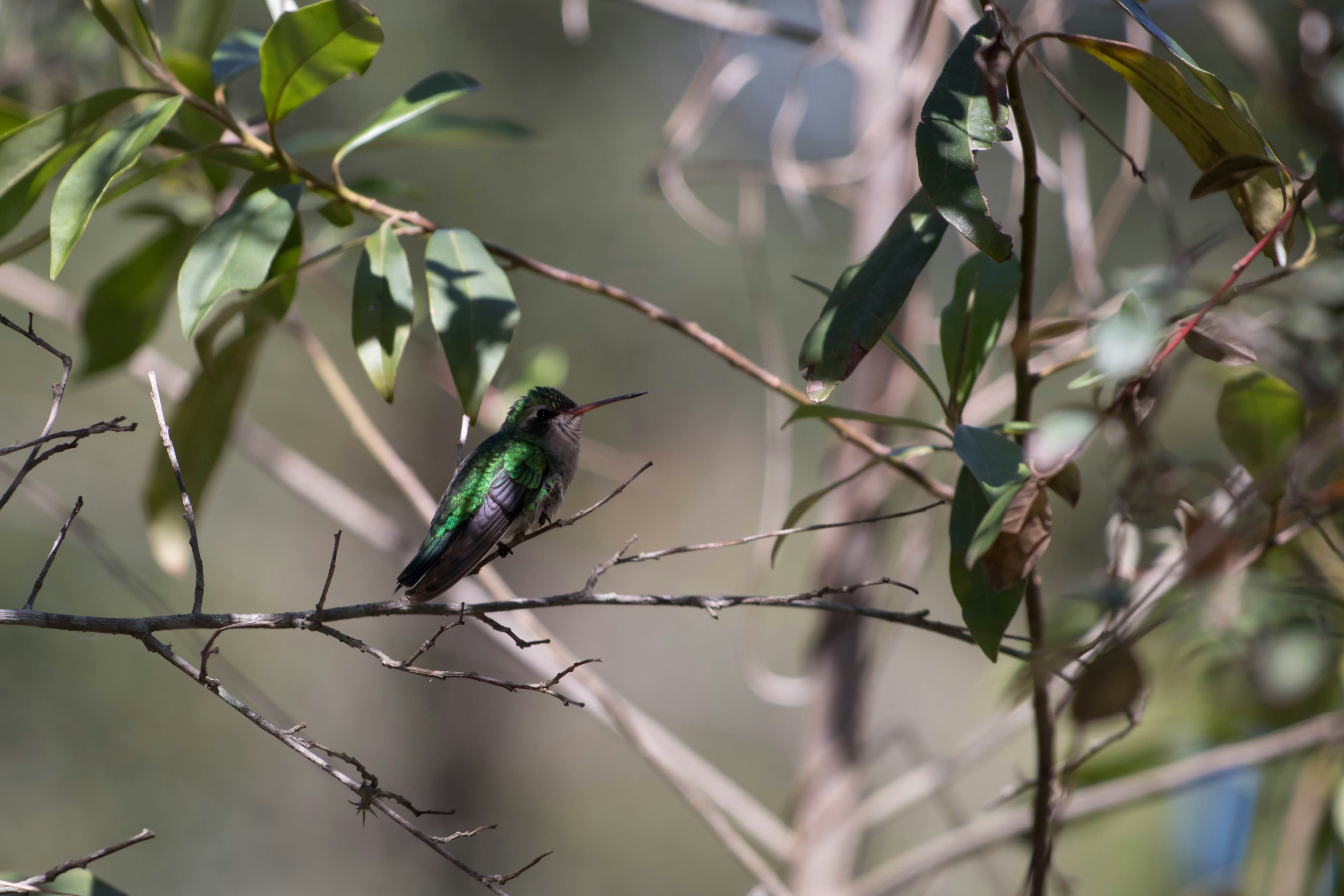 Photo by sonianadales