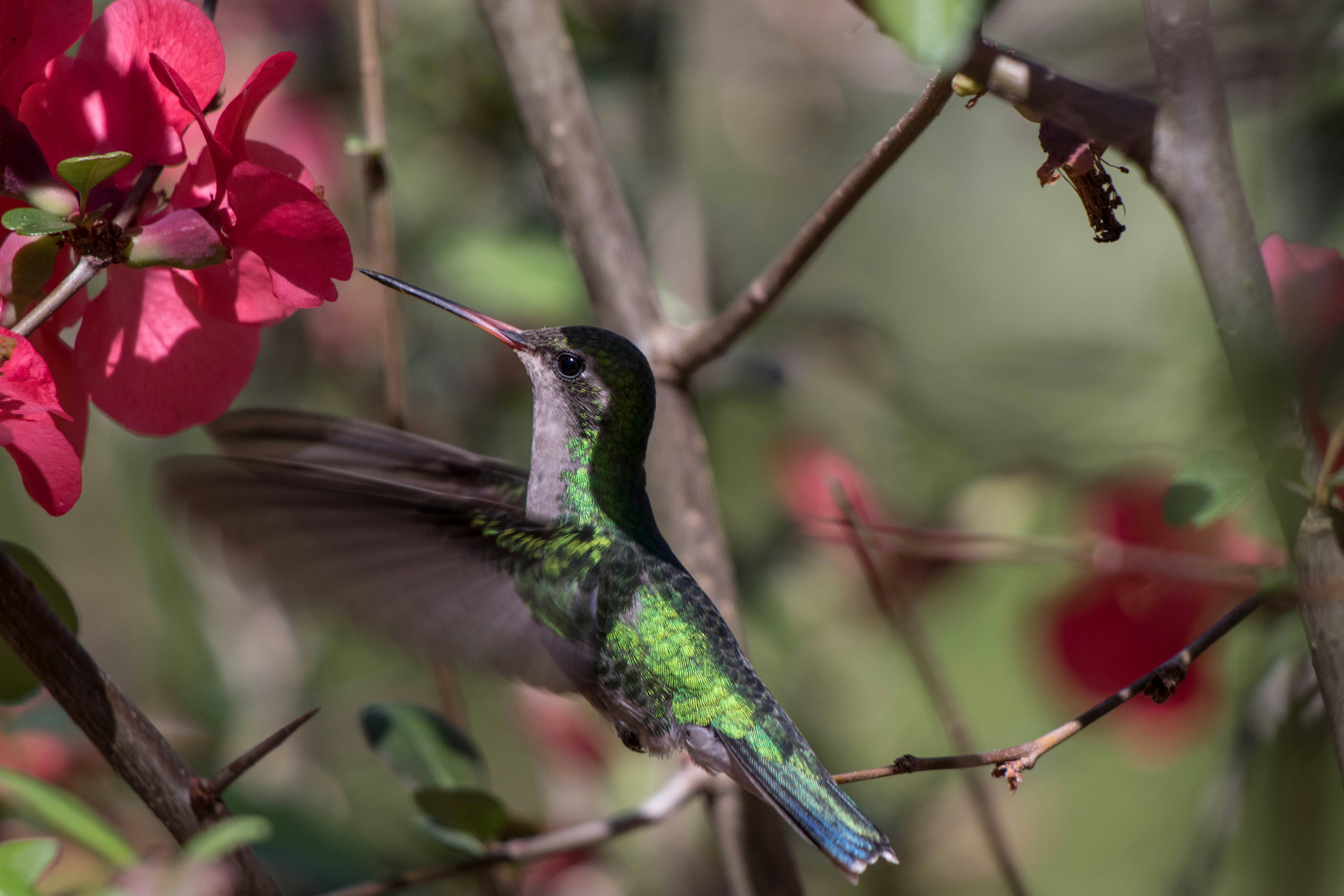 Photo by sonianadales