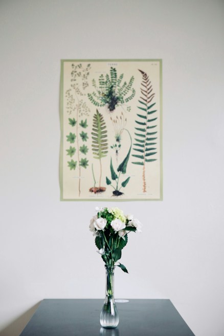 A minimalist and serene interior scene features a botanical illustration of various green ferns and leaves hanging on a white wall. Below the illustration, a clear glass vase holds a bouquet of white and light green flowers, creating a harmonious and natural aesthetic.