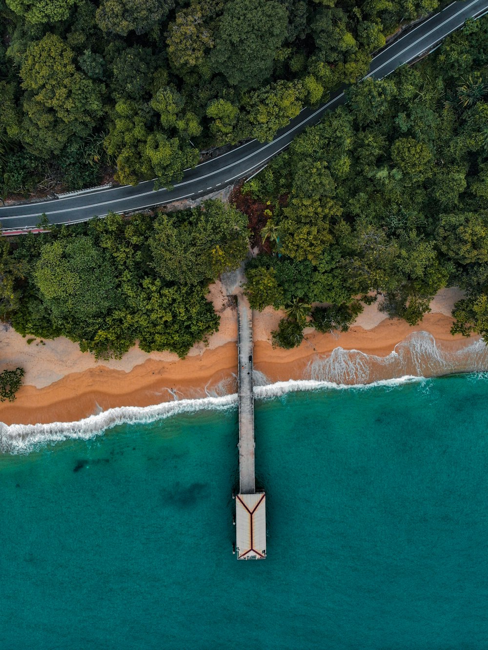 aerial view of people on beach during daytime