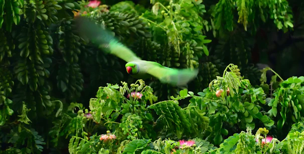 A colorful flock of parrots in mid-flight against a lush jungle backdrop.