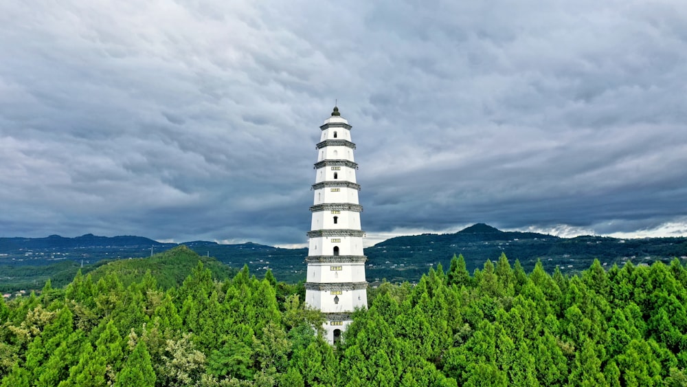 Phare blanc et noir sur un champ d’herbe verte sous un ciel nuageux gris pendant la journée