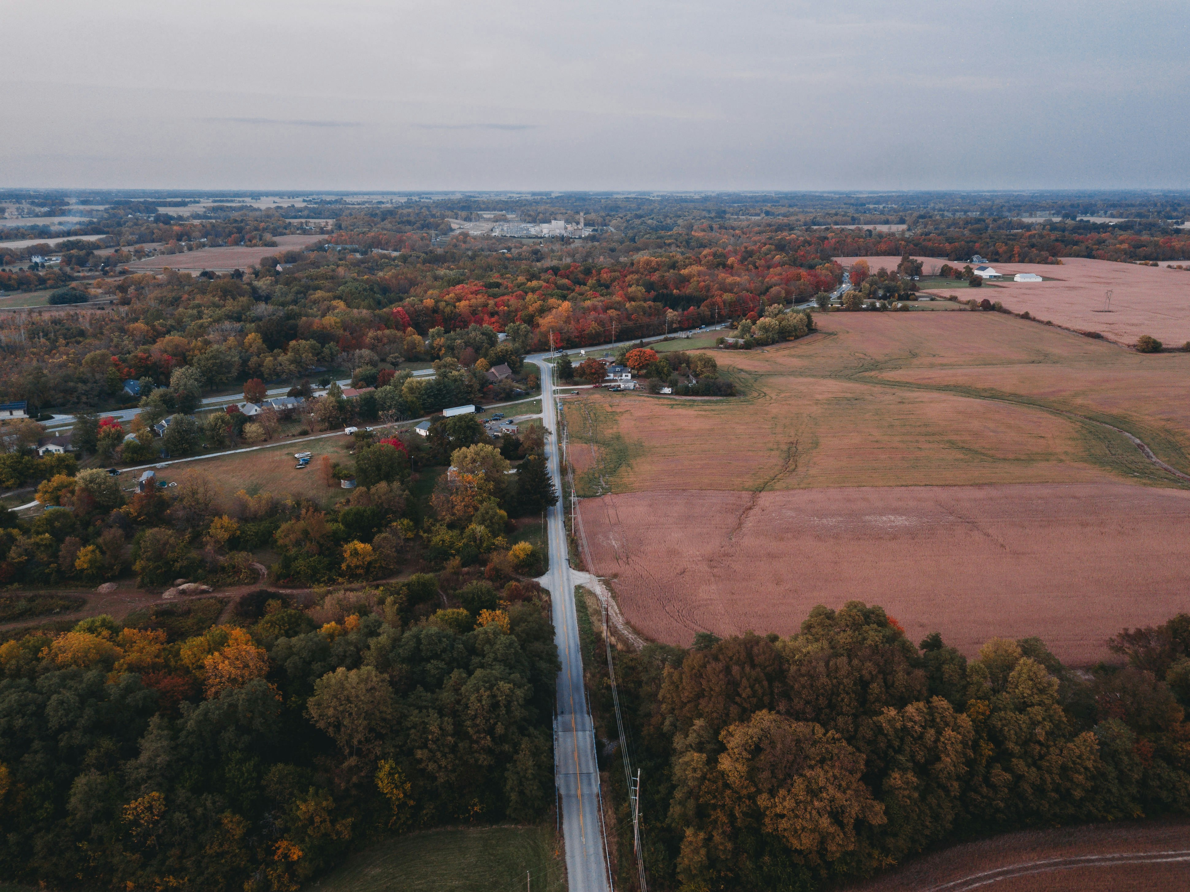 Photo by stevenvanelk