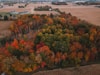 green and brown trees near body of water during daytime