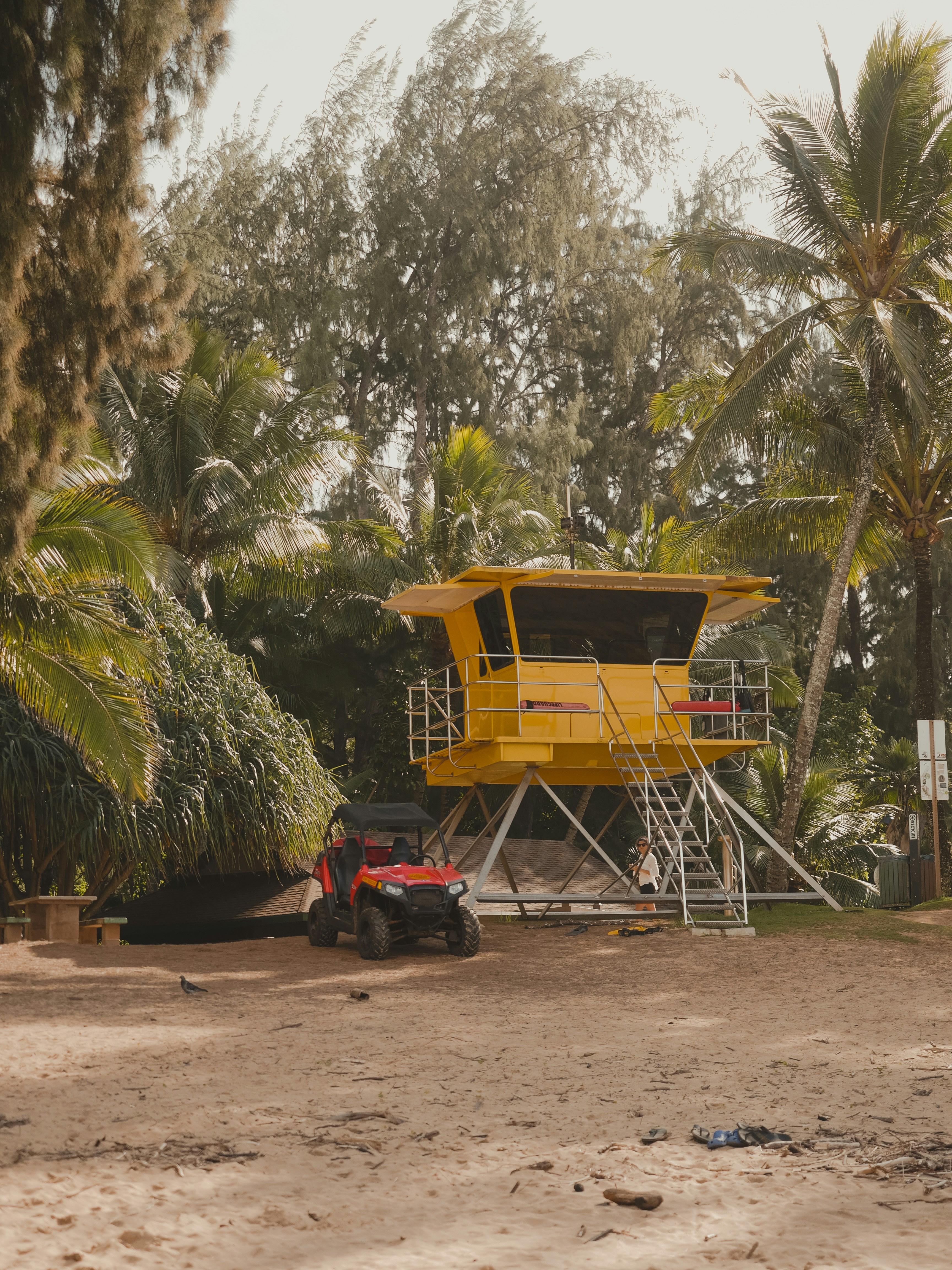 brown wooden folding chair near palm trees during daytime