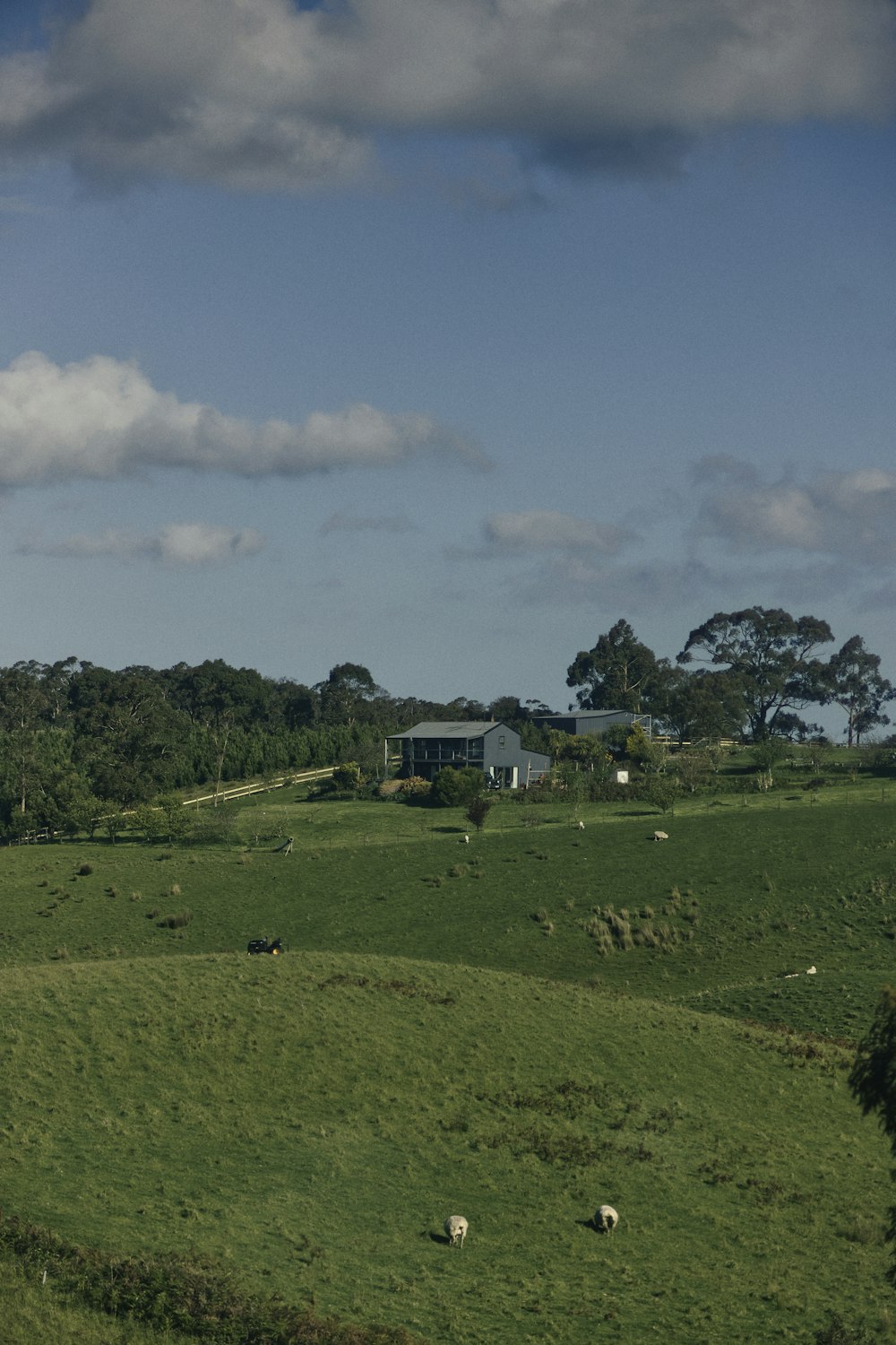 green grass field under white clouds and blue sky during daytime