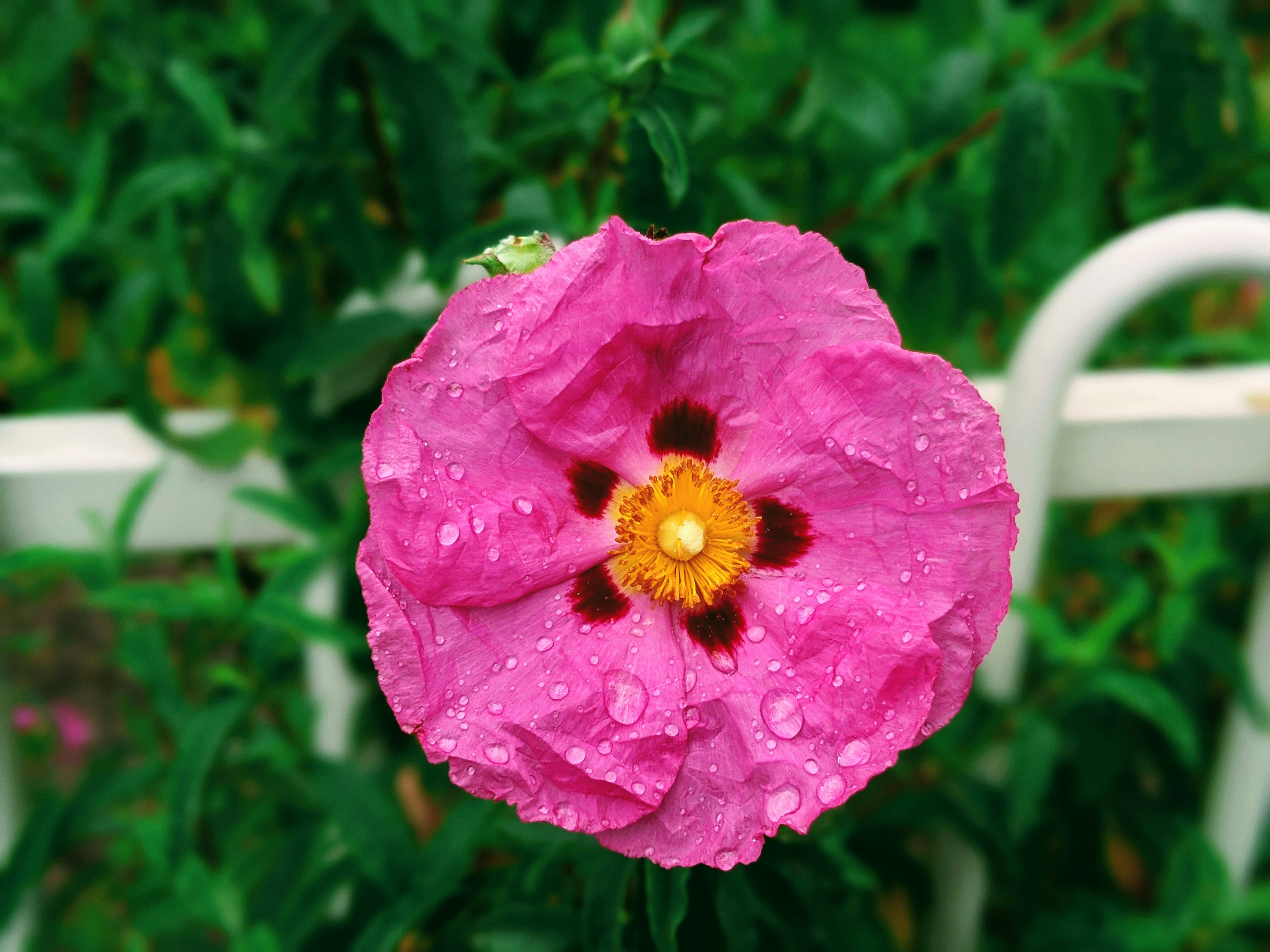 Photo by throughmylens_parag