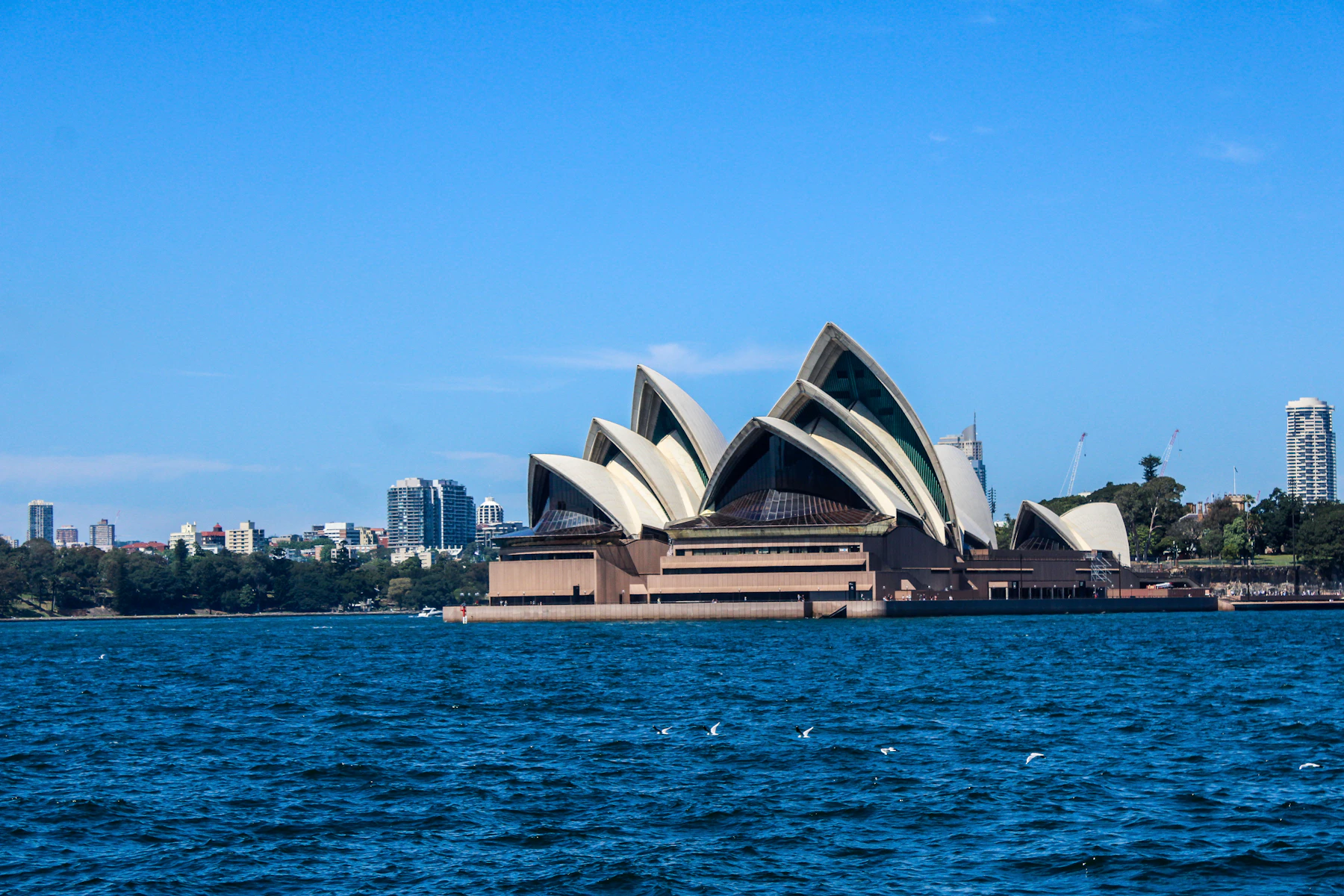 Sydney Opera House beside Sydney Harbour