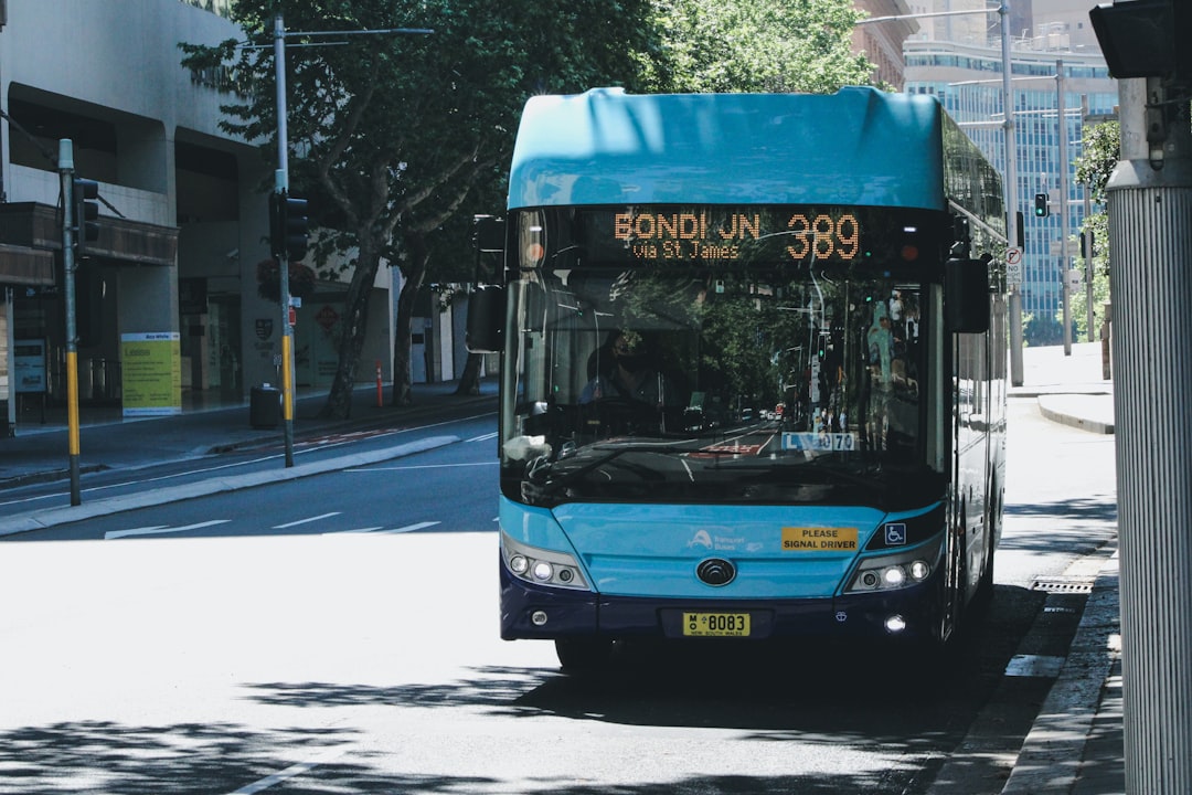 blue bus on road during daytime