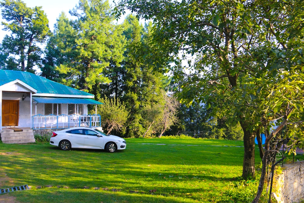 white sedan parked near green trees during daytime