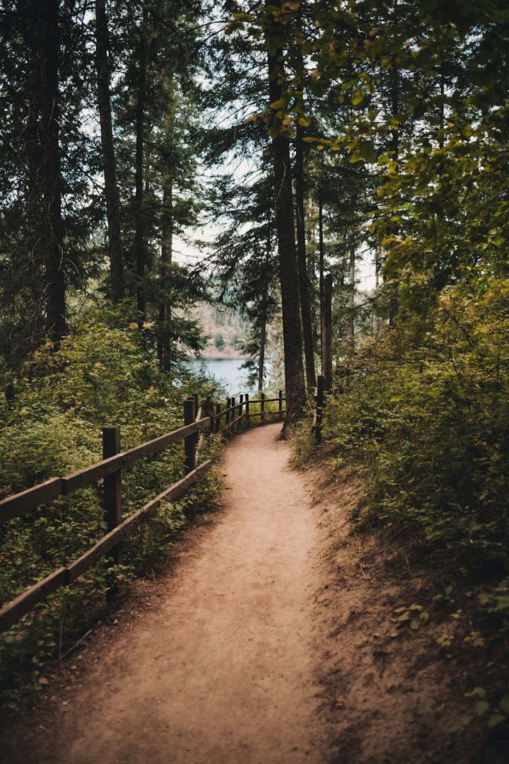 Long winding trail along the river