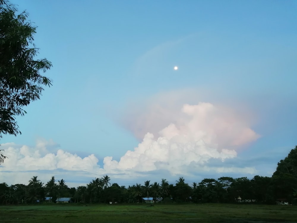 Grüner Rasenplatz unter weißen Wolken tagsüber