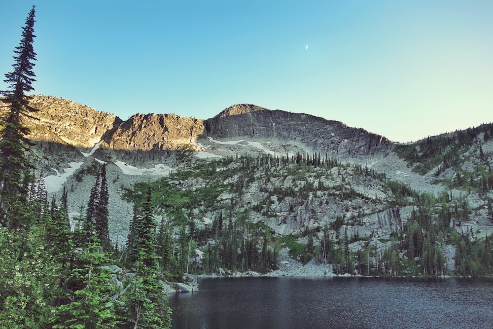 green trees on mountain near body of water during daytime