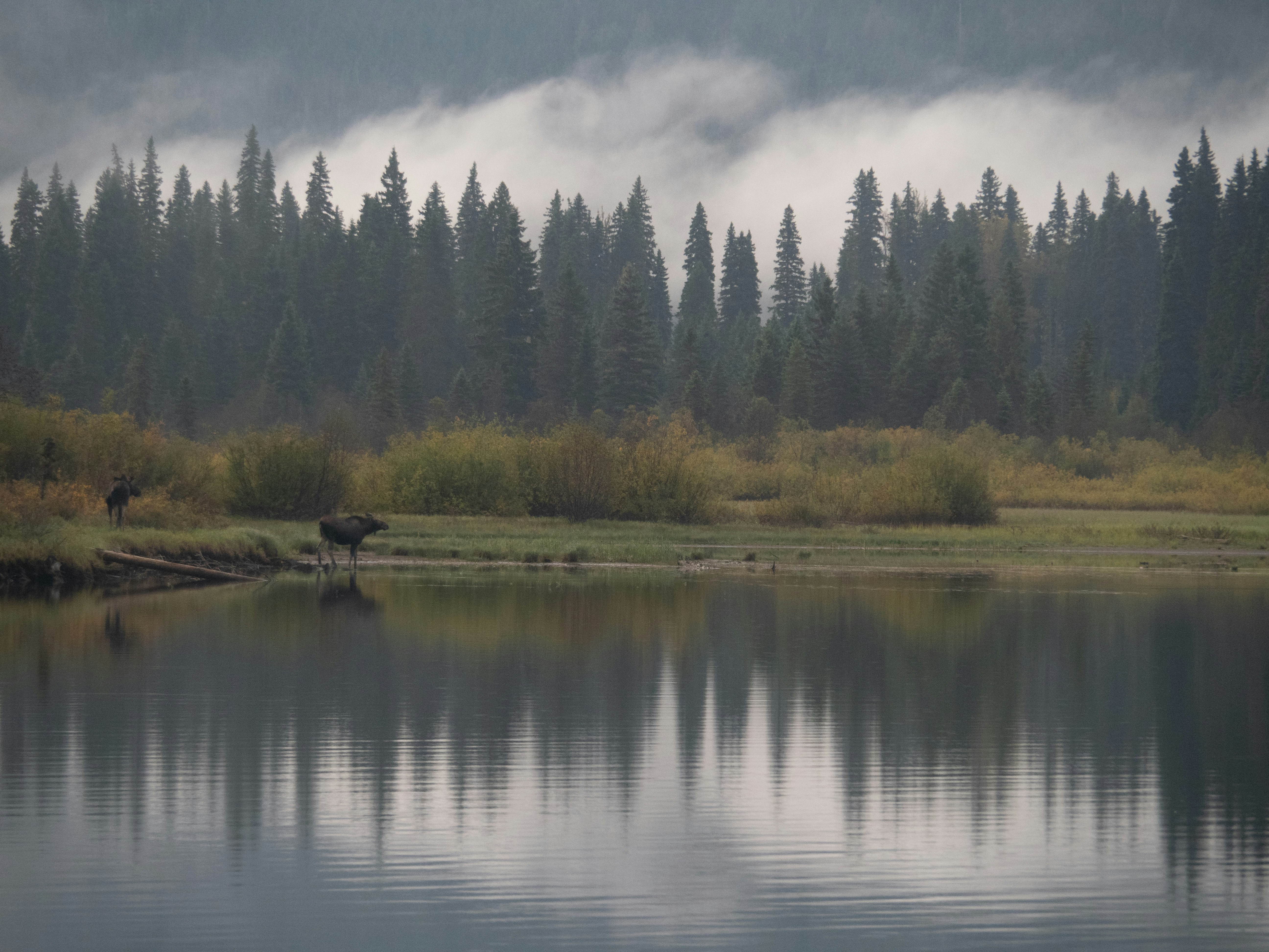 Photo by lderksen