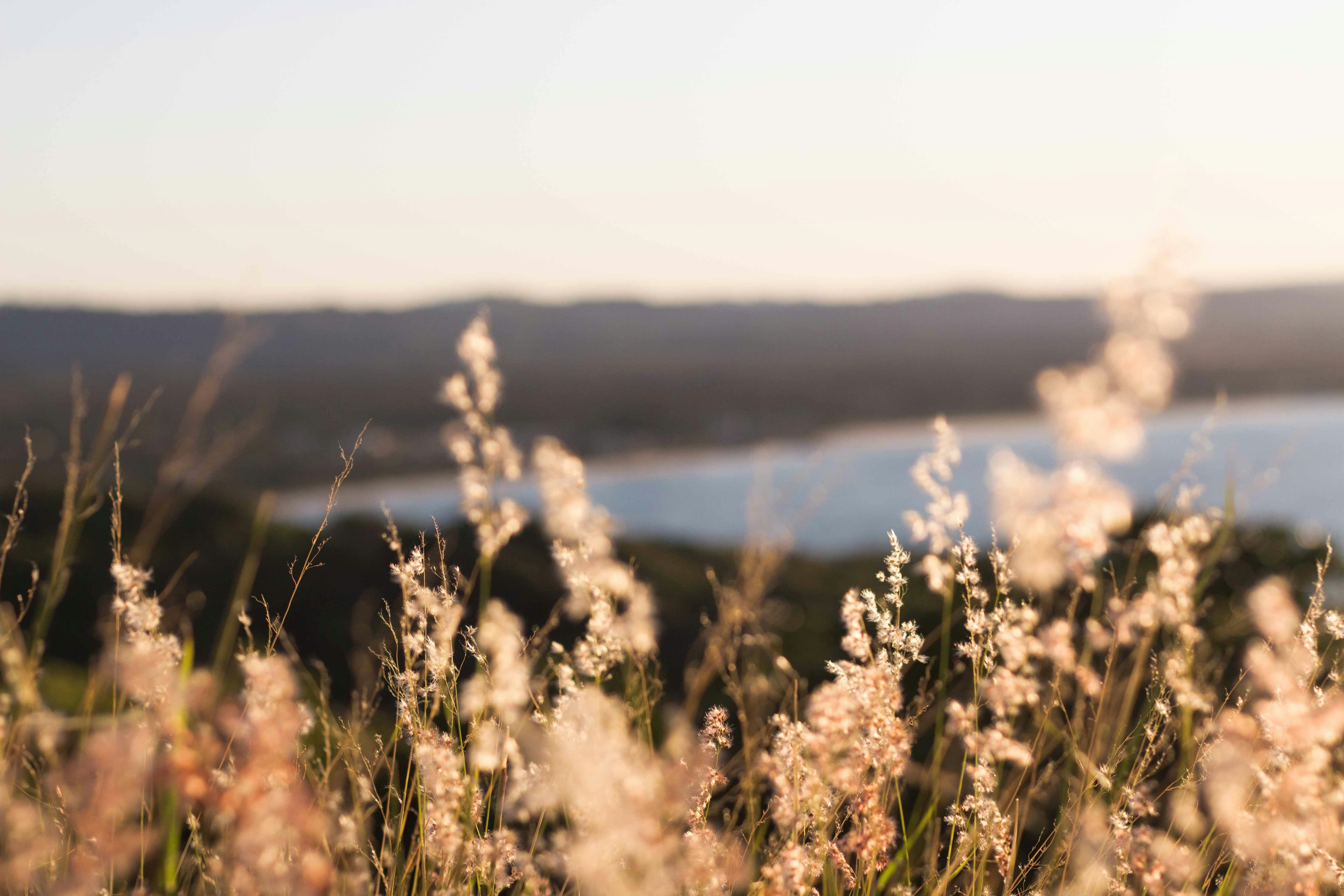 Photo by paoladiasss