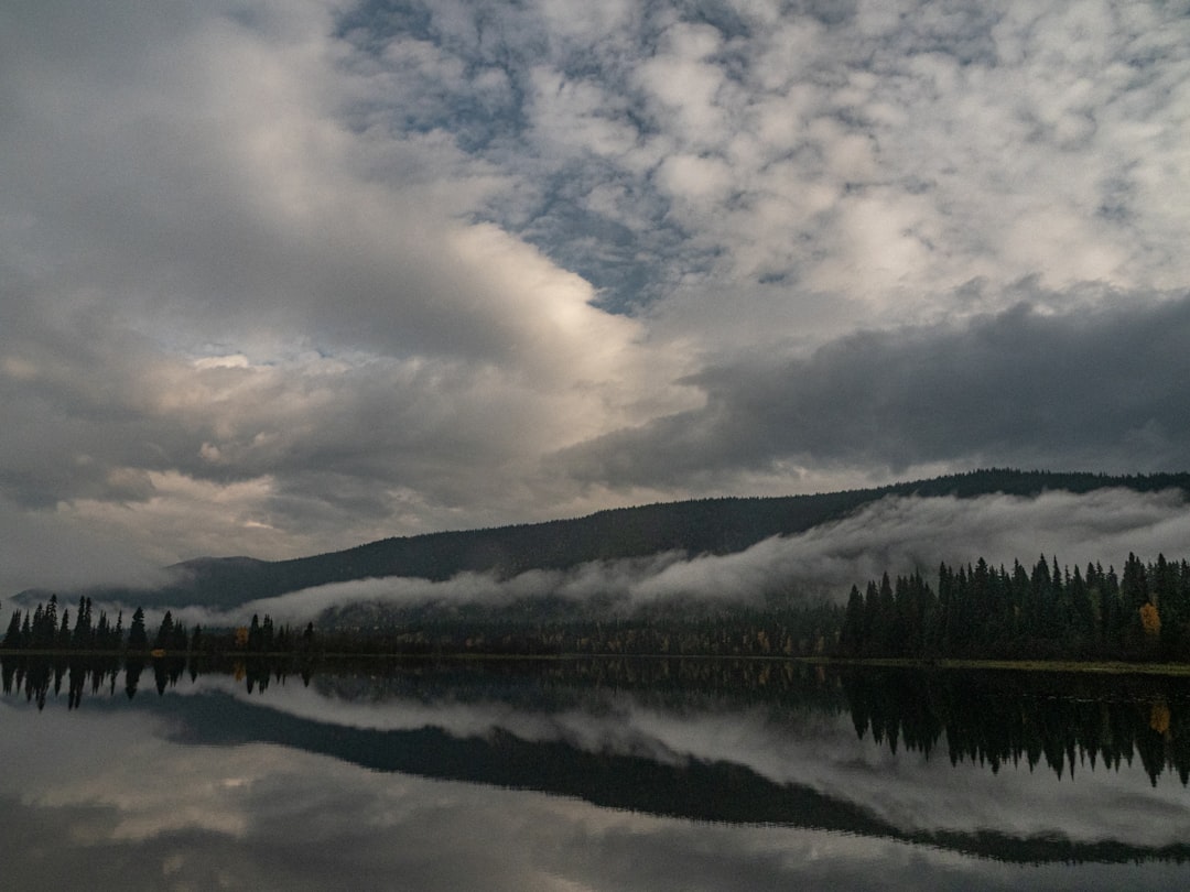 body of water near trees under cloudy sky during daytime