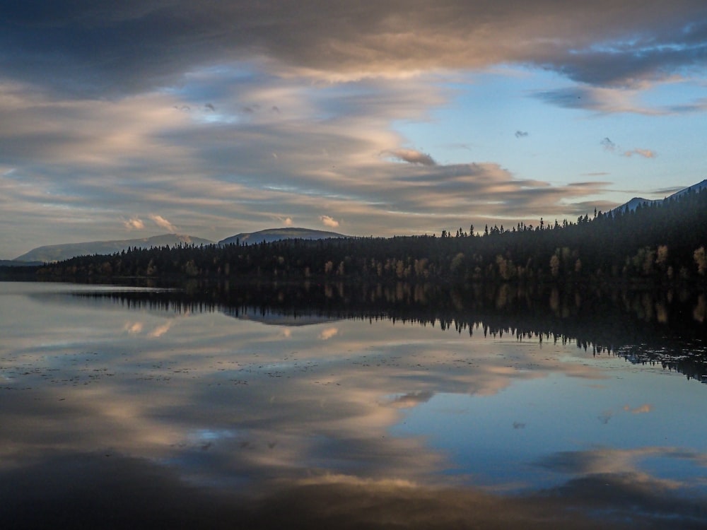 body of water near trees under cloudy sky during daytime