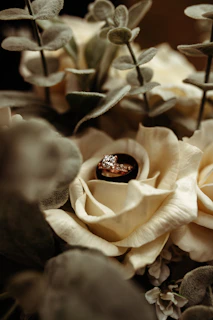 Close-up of a delicate rose gold engagement ring with a sparkling sapphire centerpiece on soft white fabric
