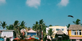 A tropical scene with colorful buildings and a thatched-roof hut surrounded by palm trees. A boat is prominently placed in the foreground with various fishing equipment. A bird is captured mid-flight against a clear blue sky.